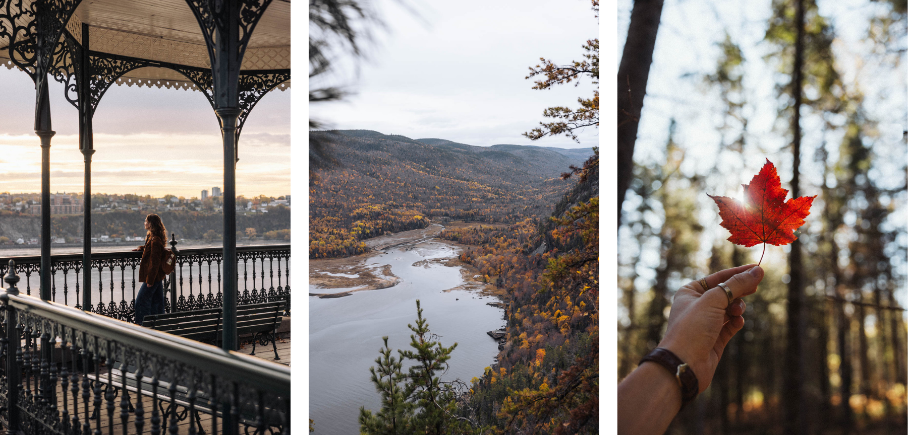 Itinéraire road trip Québec Automne feuille panorama