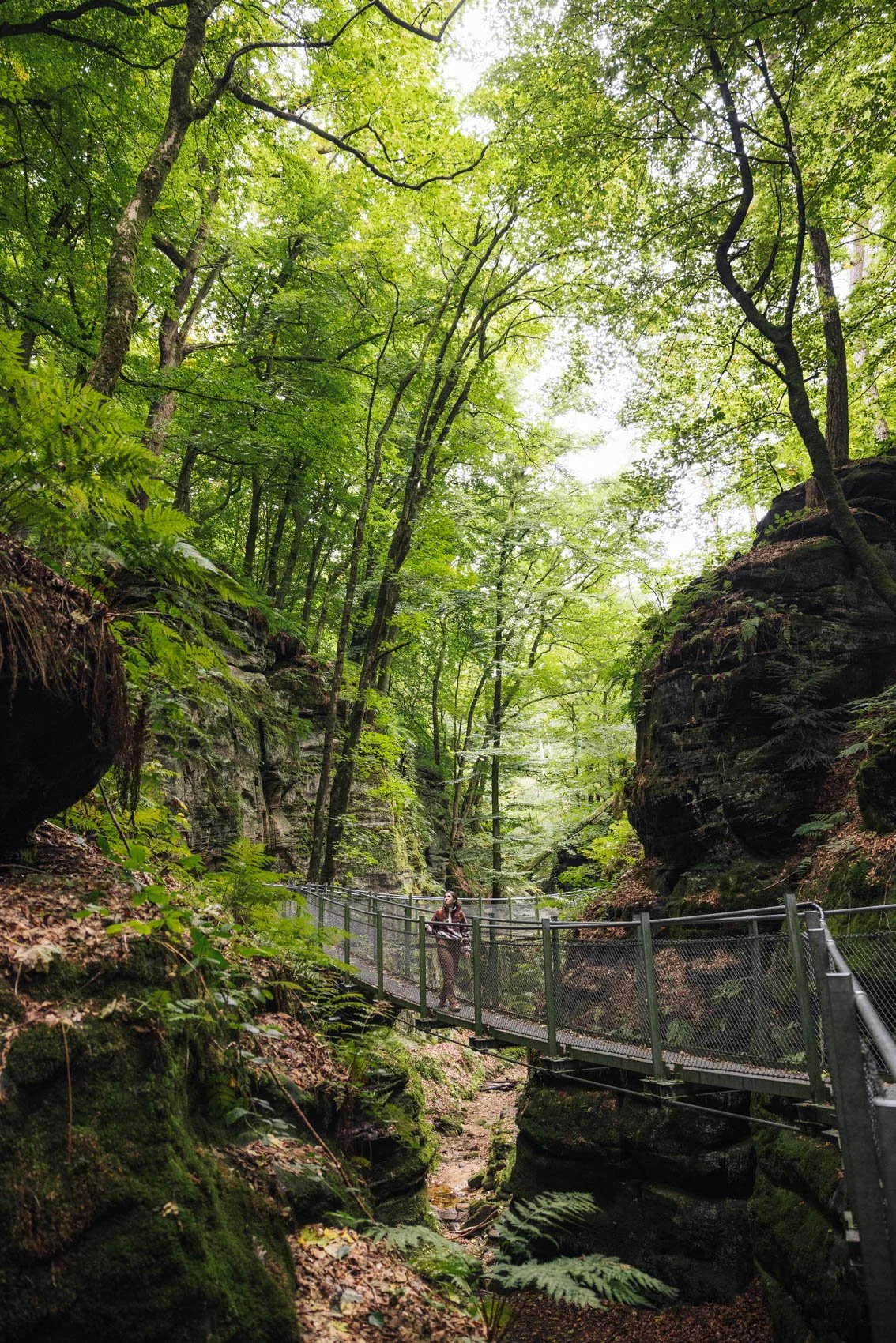 visiter Luxembourg Mullerthal trail randonnée sentier B2 passerelle