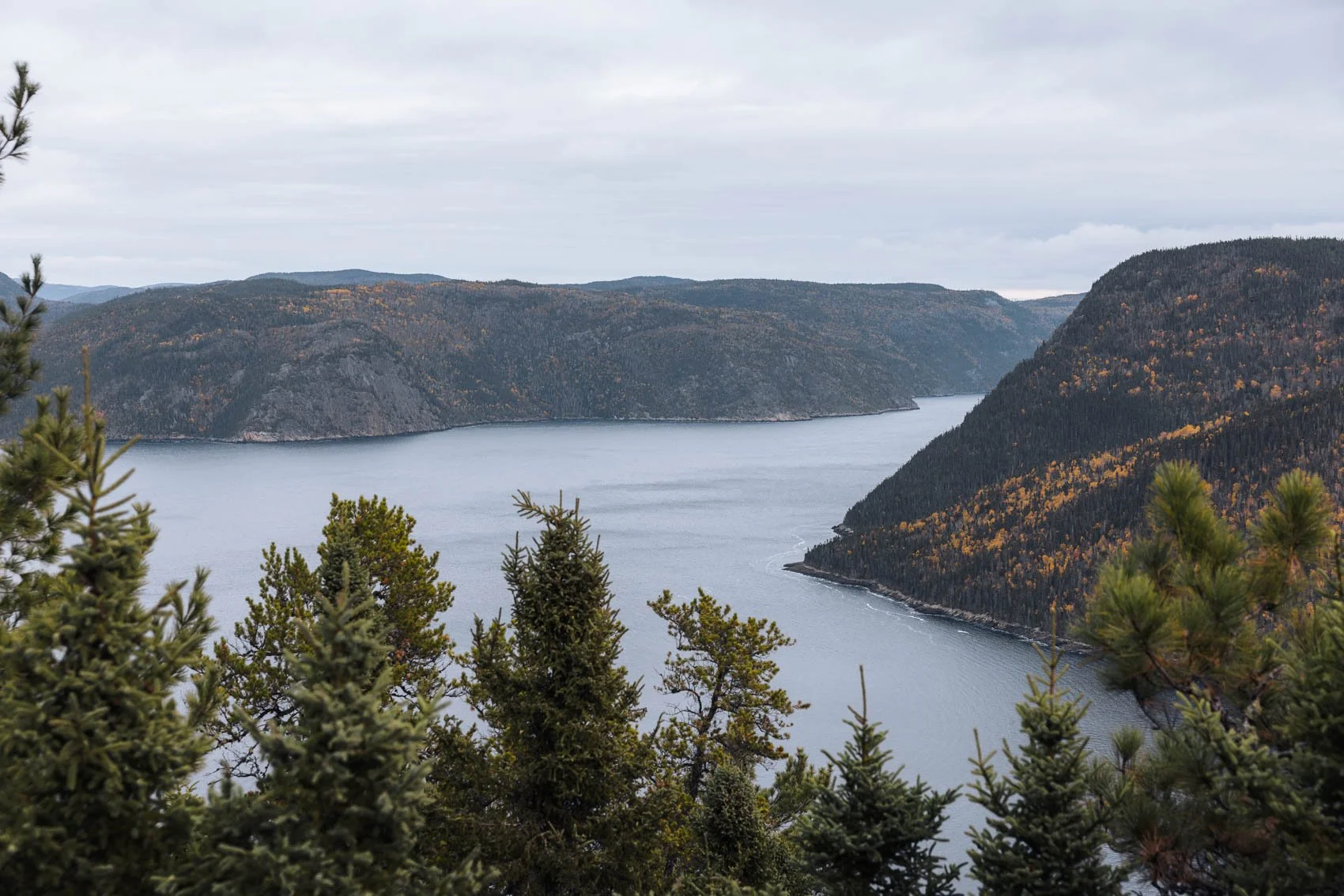 Itinéraire road trip Québec Automne parc national fjord saguenay randonnée notre dame vue