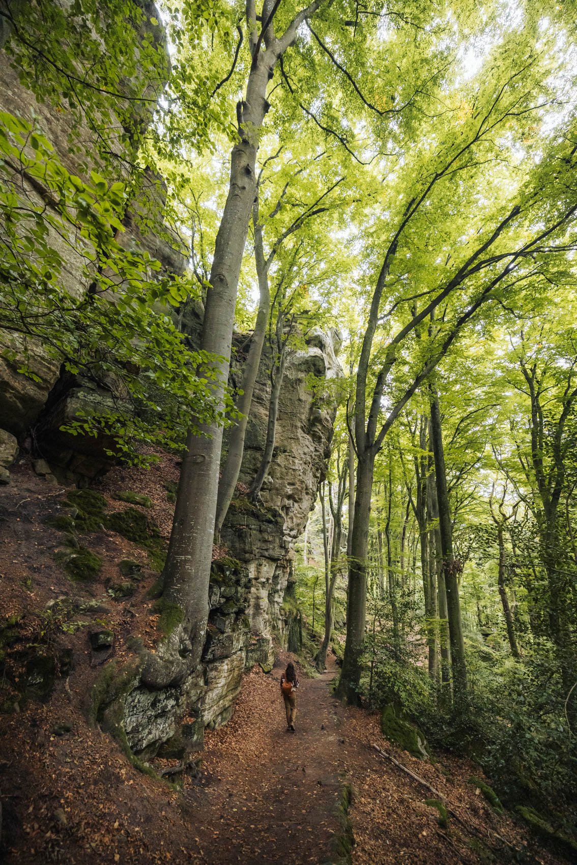 visiter Luxembourg Mullerthal trail randonnée sentier B2 passerelle forêt