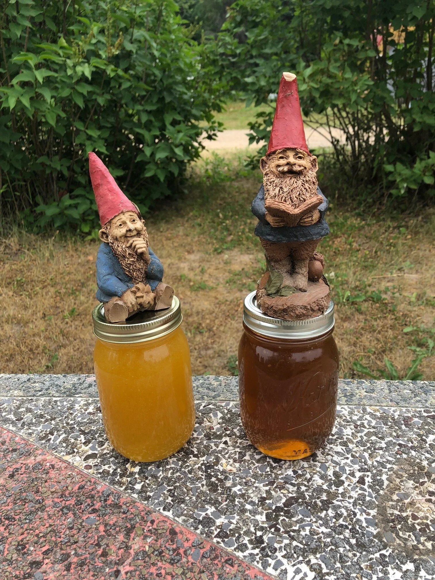 First Honey of the 2021 Season from Scandia!