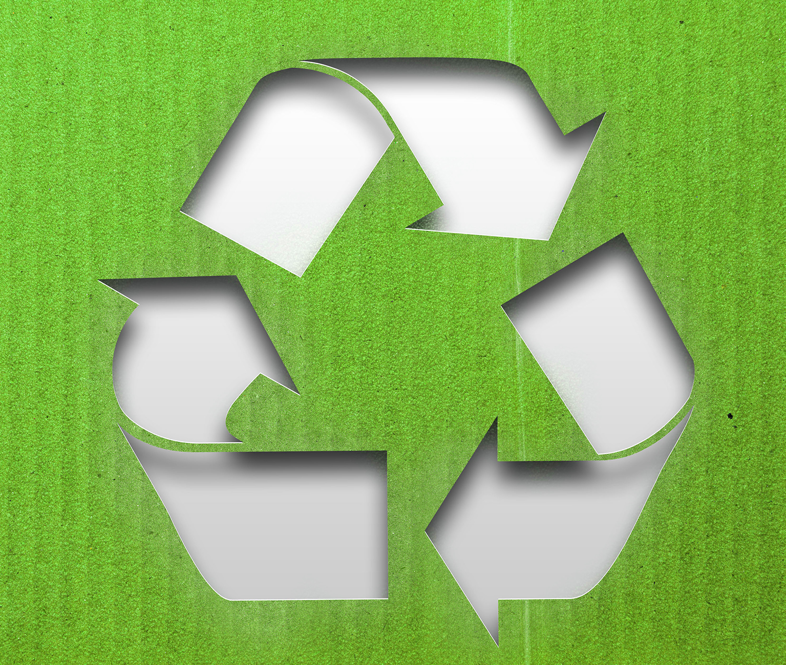 Environment_4.jpg