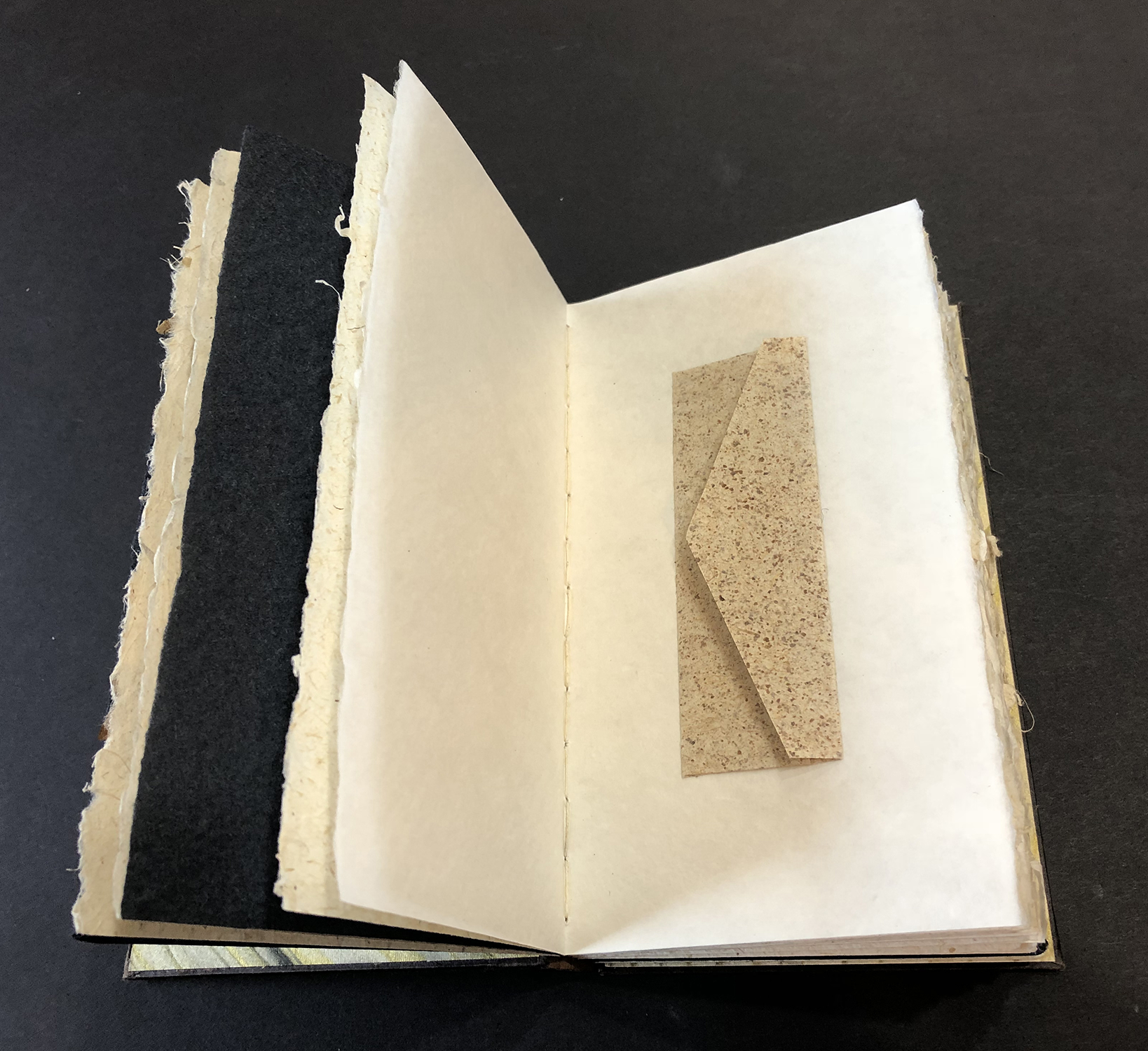 book image 2.png