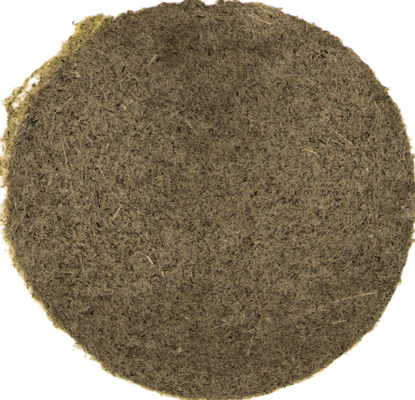 Eastern gamagrass sample.png
