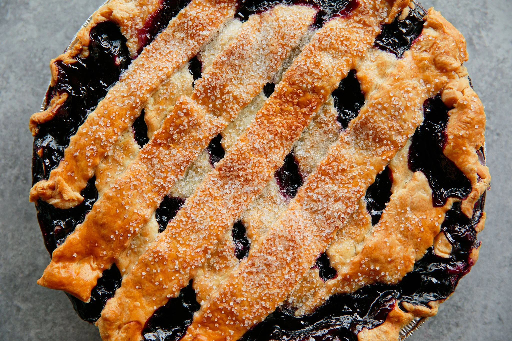 Copy of PETSI PIES_CREDIT BRIAN SAMUELS PHOTOGRAPHY_DECEMBER 2018-0281 copy (1).jpg