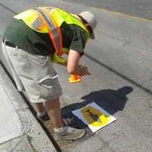 City of Richmond’s Sustainability Department research intern, Andrew Weatherill, lays down fish stencils for the student volunteers to paint.