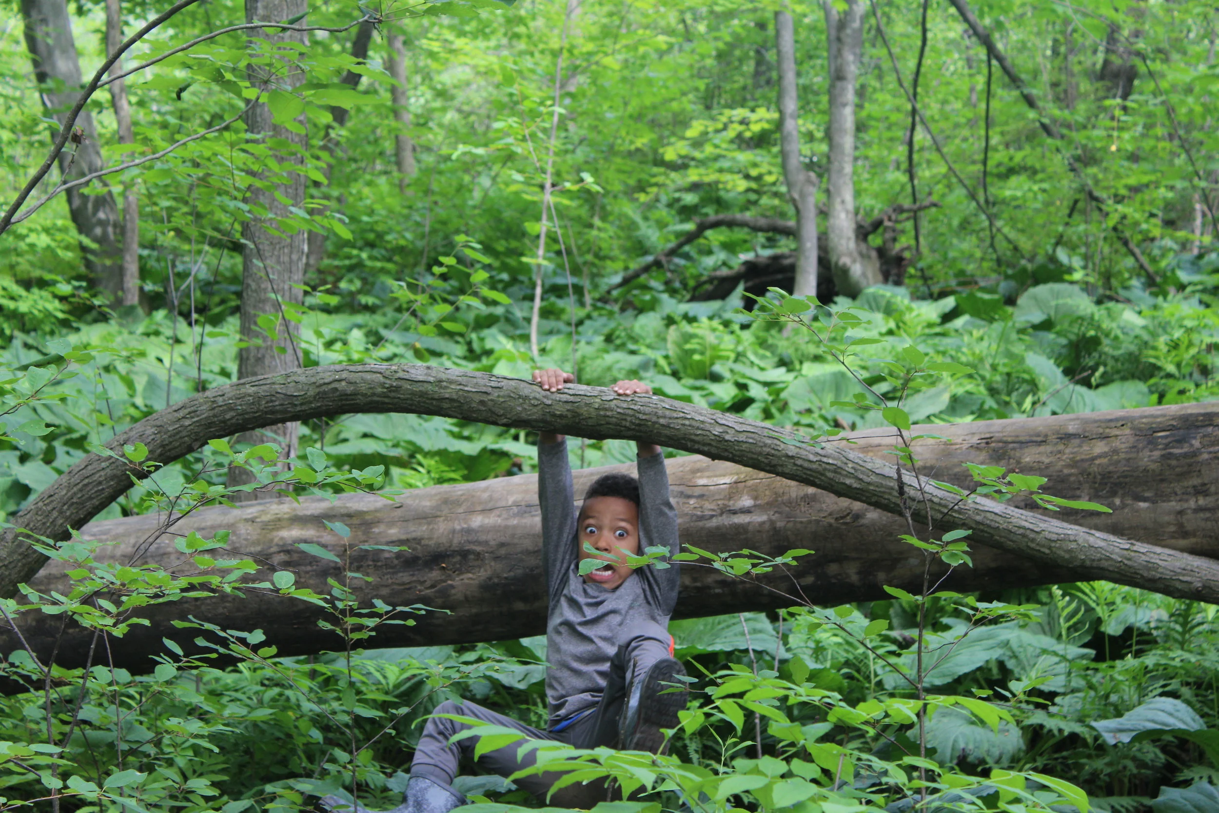 WILD CHILD: Week 1 of Summer Day Camp Complete