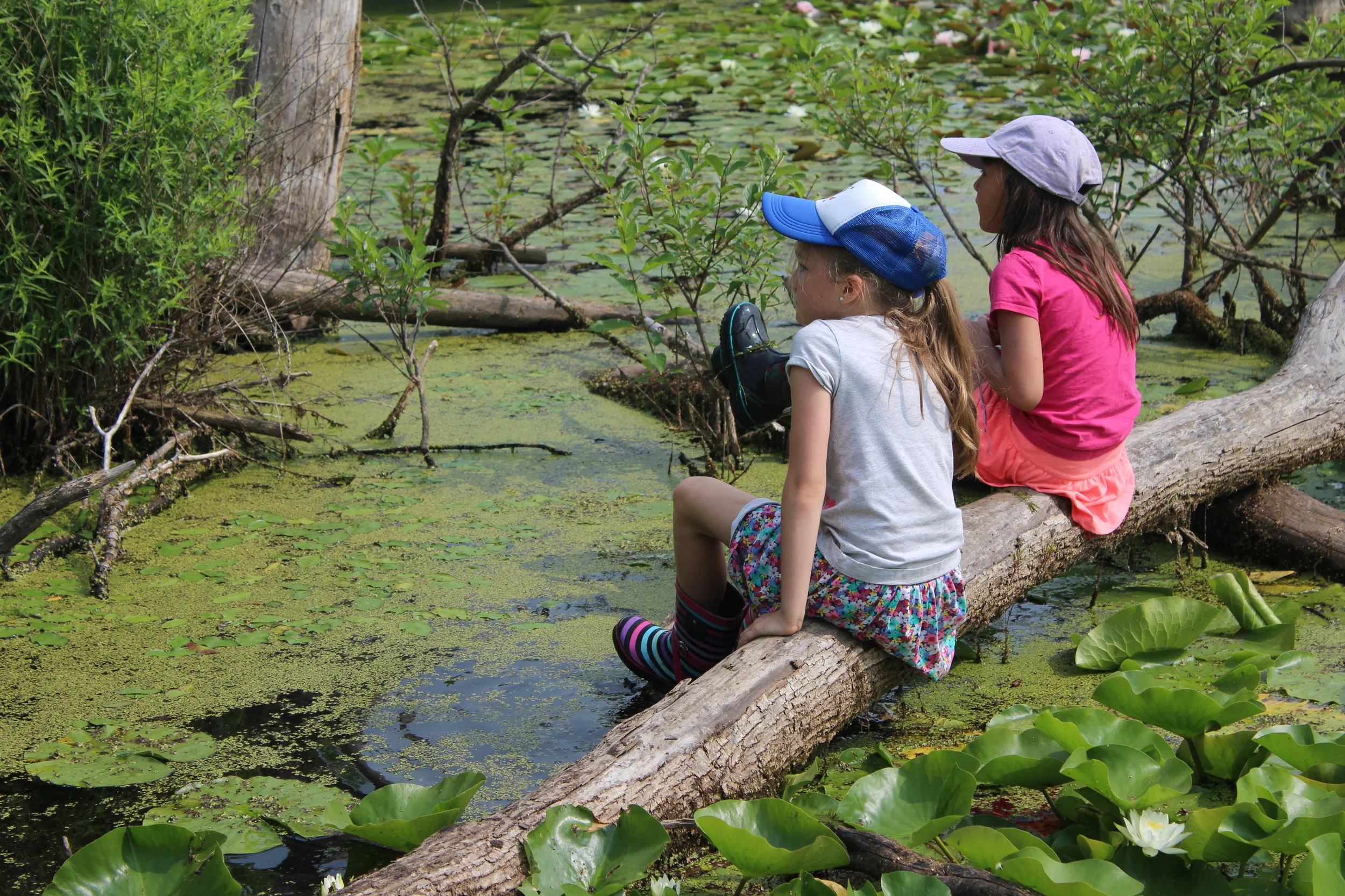 WILD CHILD: Sit Spot
