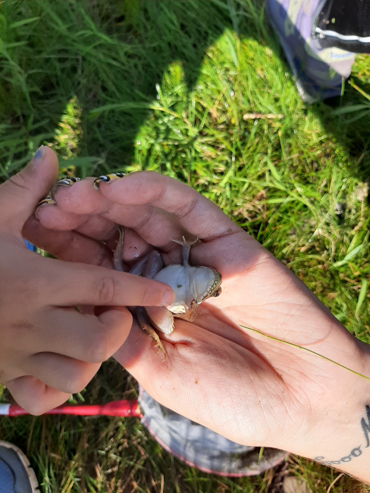 20190807_103519.jpg