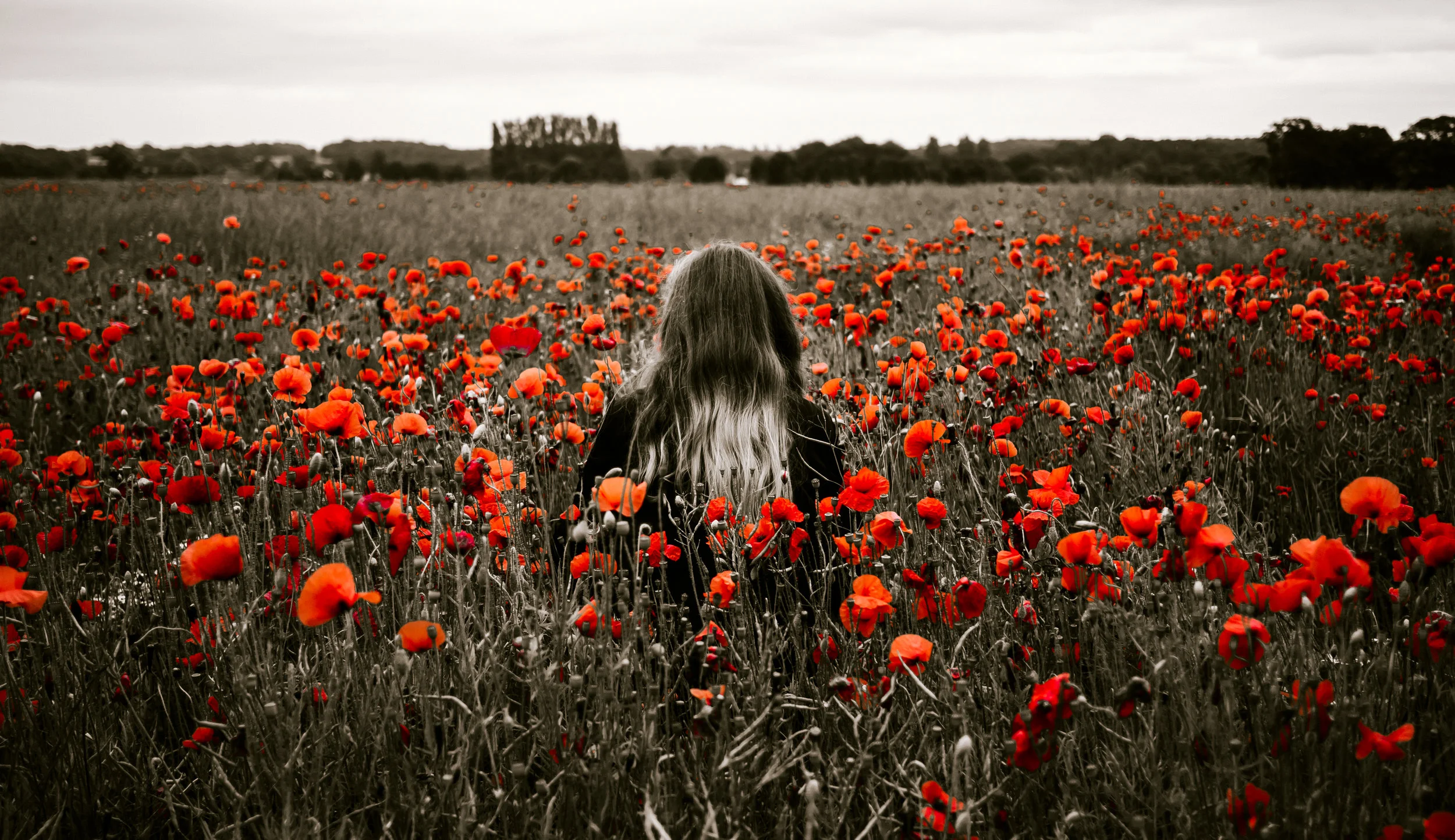 Dear Childreach: How do I explain Remembrance Day to a child?