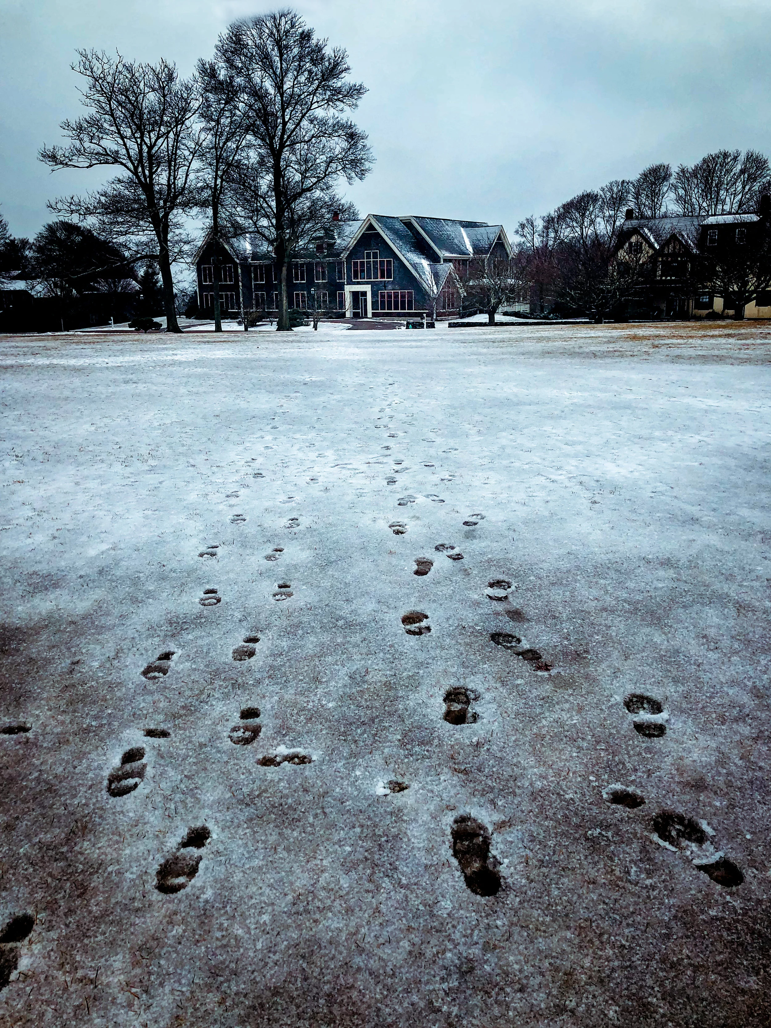 WILD CHILD WINTERMISSION: find your footprints