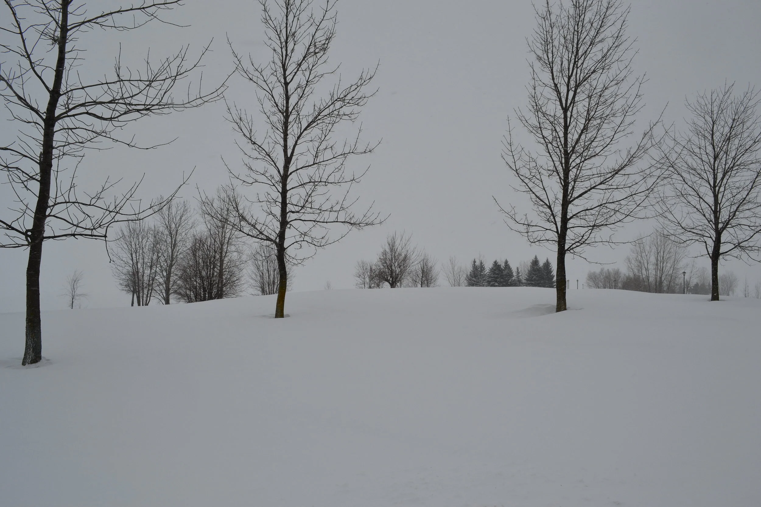 WILD CHILD Wintermission: A-B-See Hike