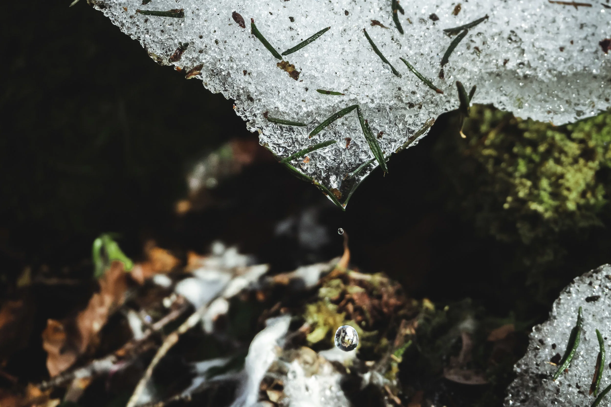 WILD CHILD Wintermission: More Ice Exploration