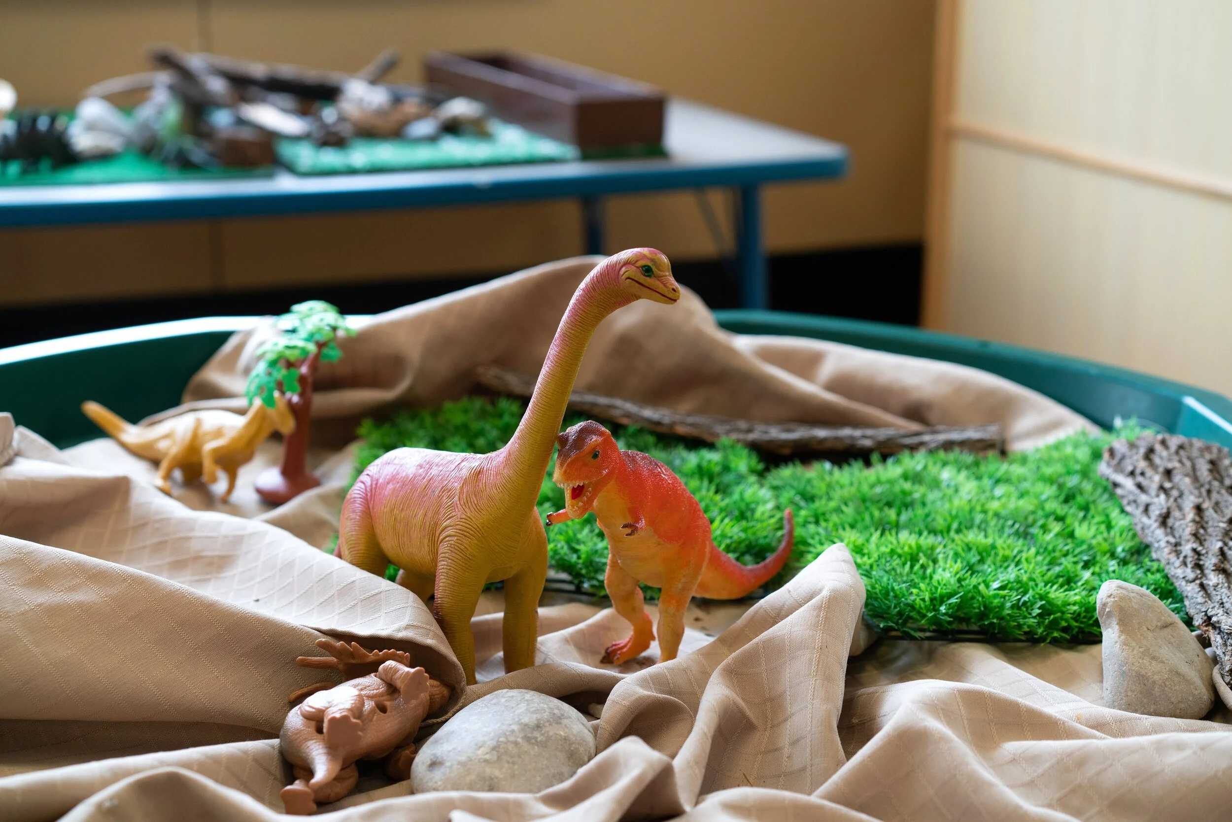 Provocation to Play Dinosaurs RESIZED.jpg