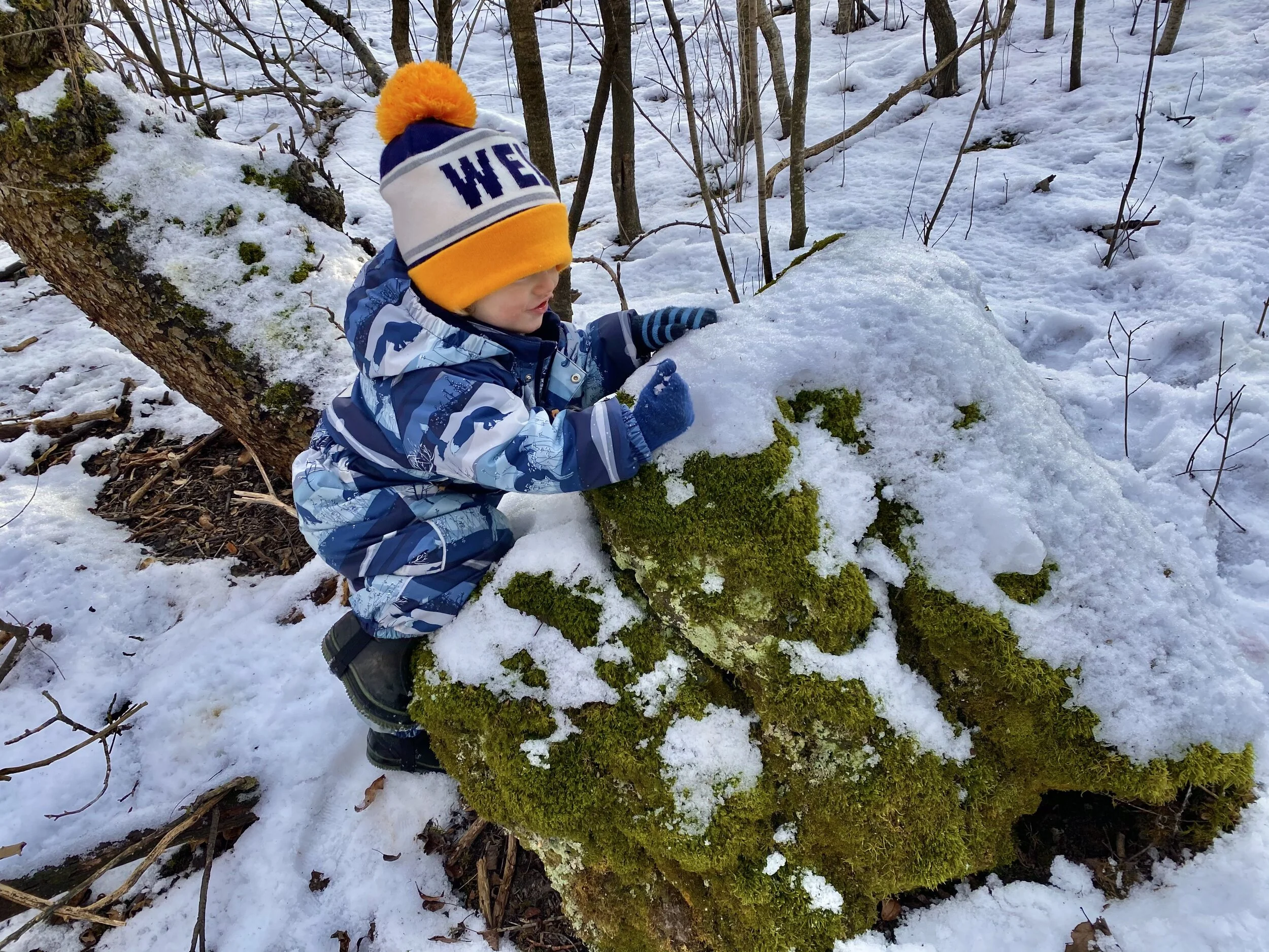 Children Wild Ricing WILD CHILD: Climbing Rocks — Childreach