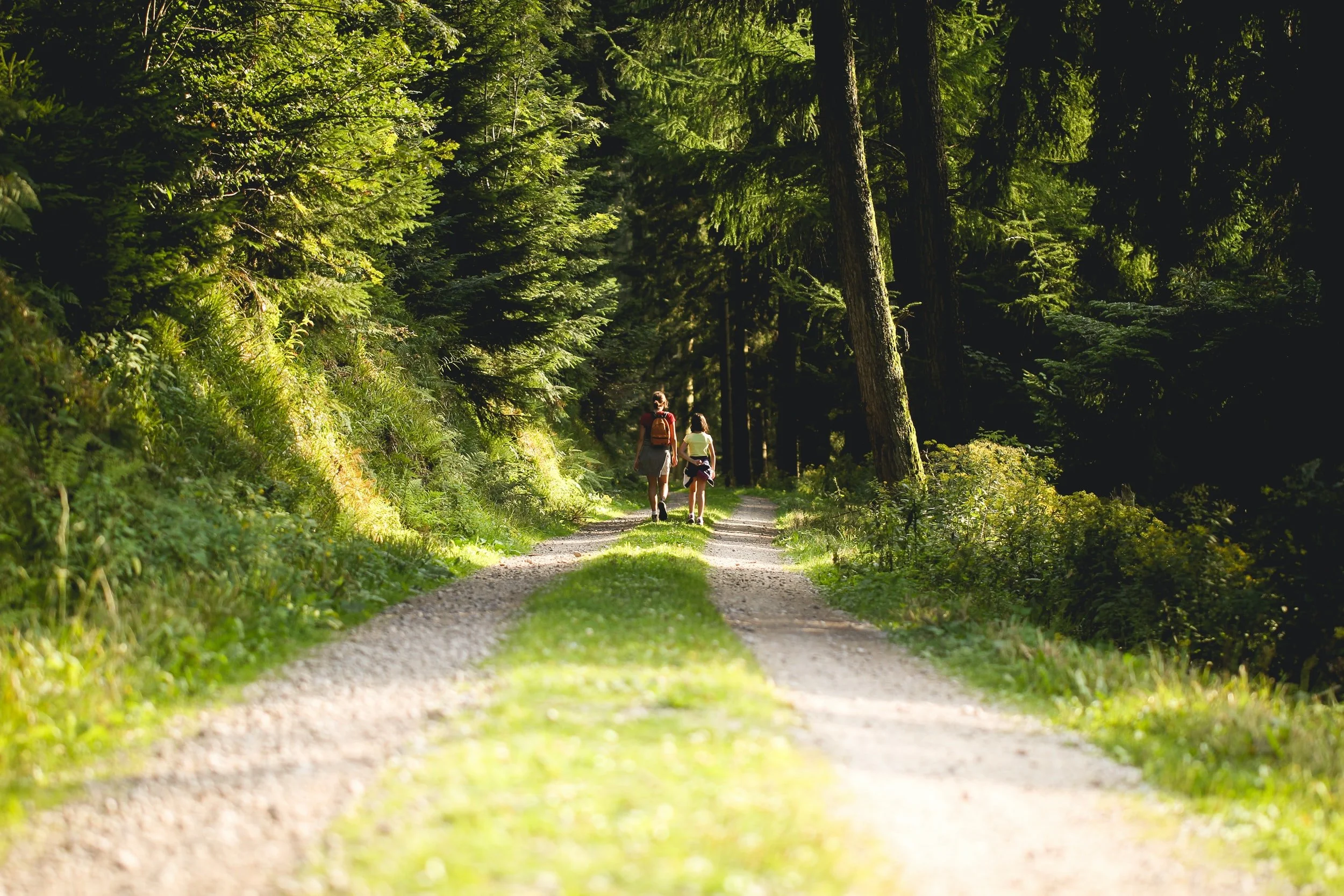 Wild Child: Explore a natural space (Medway Valley)