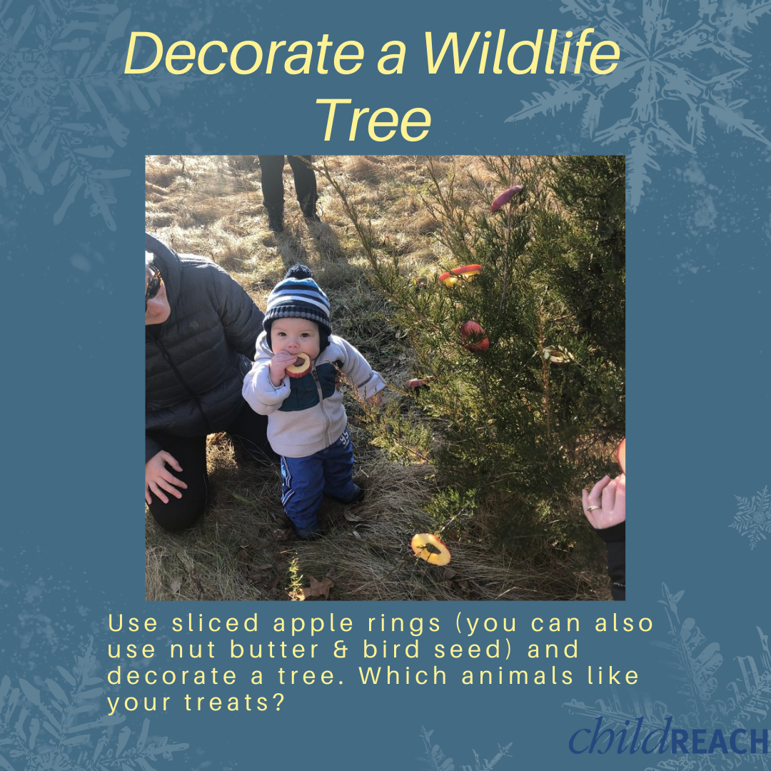Decorate a wildlife tree.png