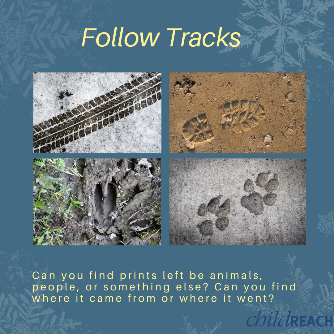 Follow Tracks.png