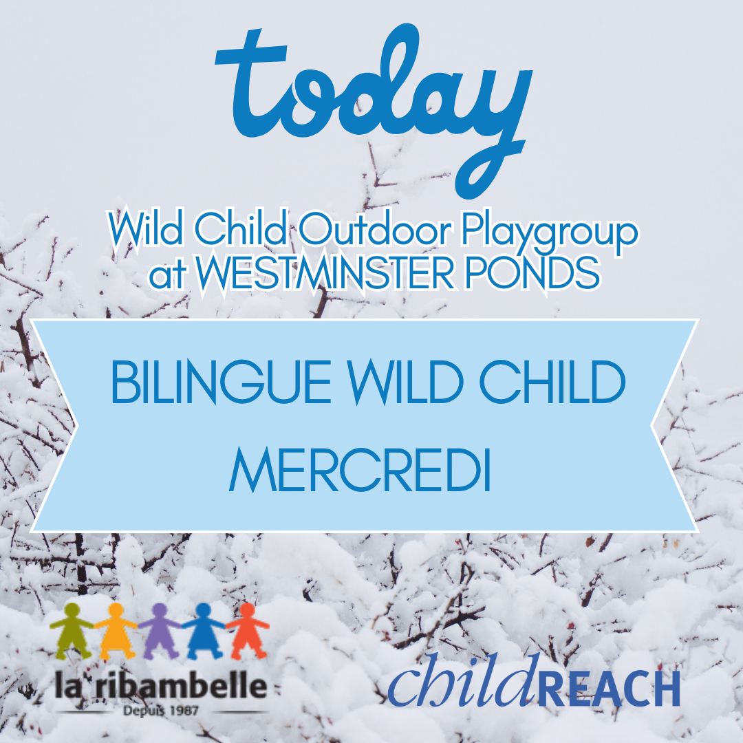 WILD CHILD Bilingual Outdoor Playgroup