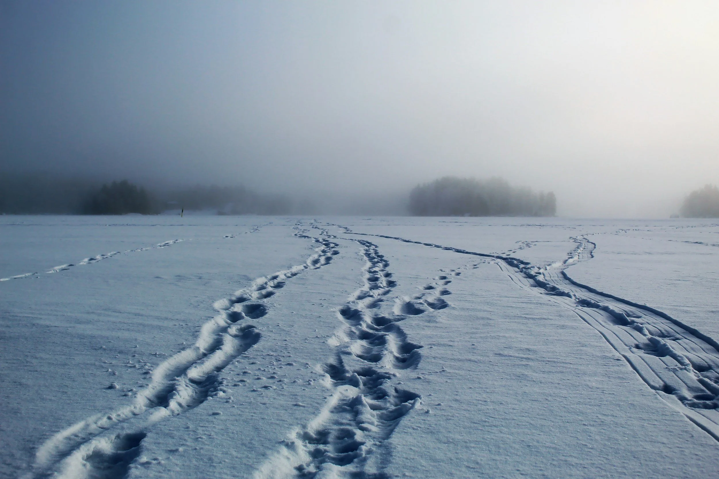 Stay Safe While Working Out in the Cold: Top Tips for Winter Fitness