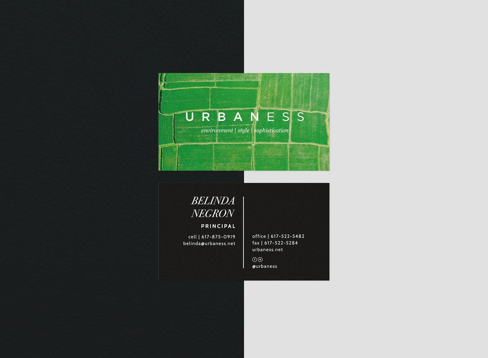 green_4 (1).jpg