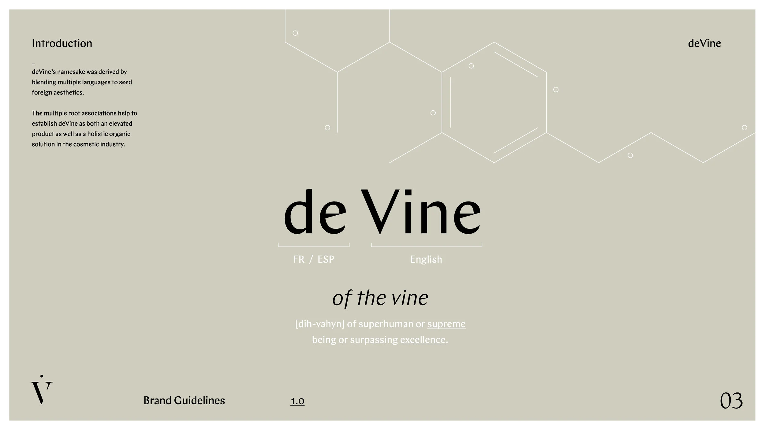 DOC_deVine_Brand_Guidelines_1.0_Page_03.jpg