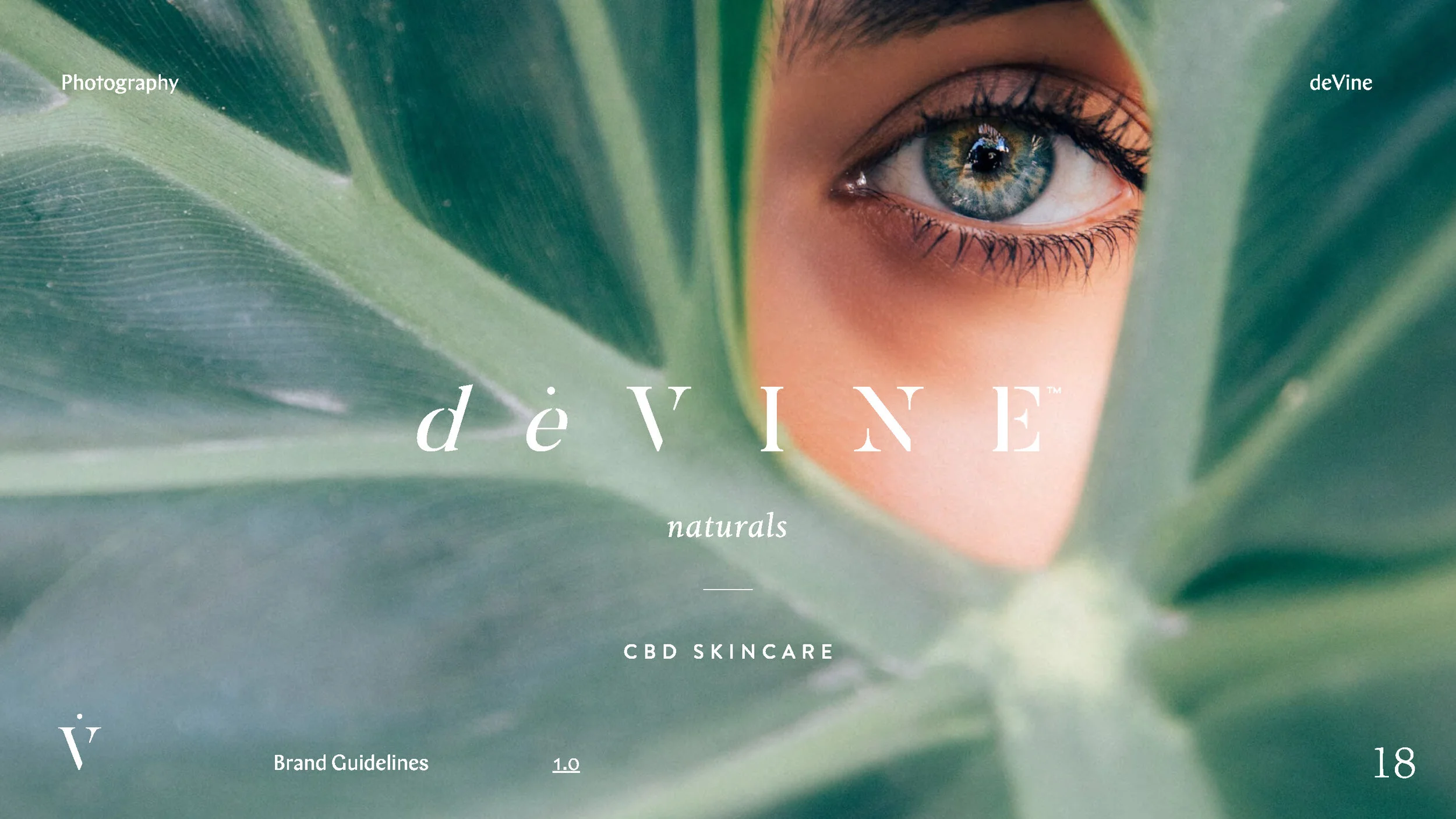DOC_deVine_Brand_Guidelines_1.0_Page_18.jpg