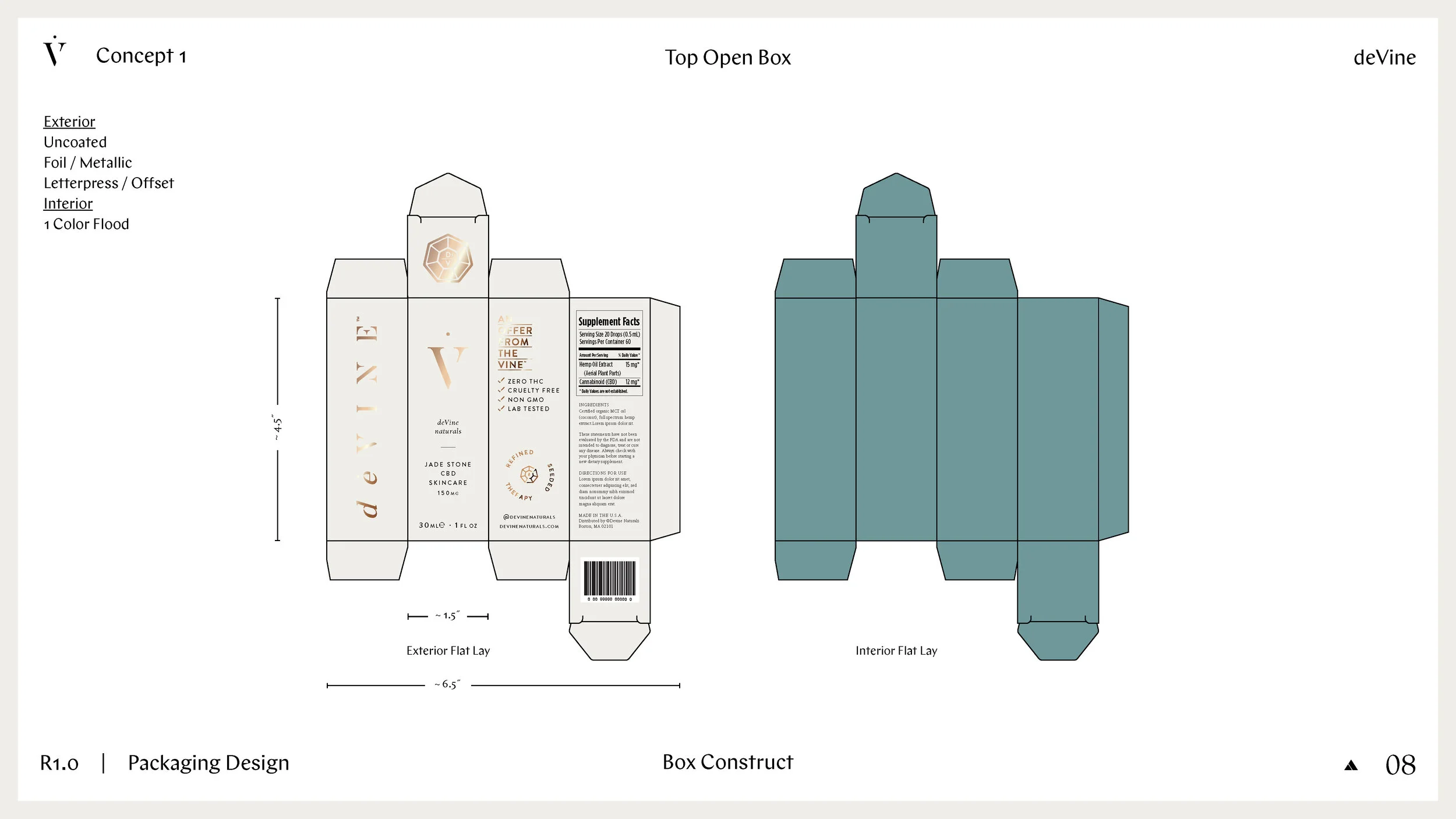 DOC_Devine_Packaging_Concepts_R1_Page_08.jpg