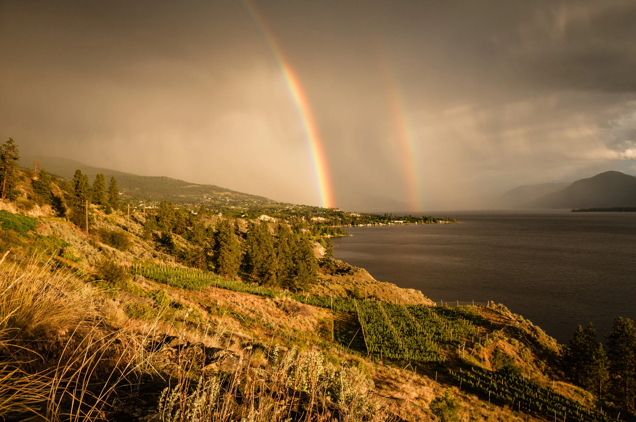 2014-06-15-Naramata_Rainbow_Sunset_Spring-97.jpg