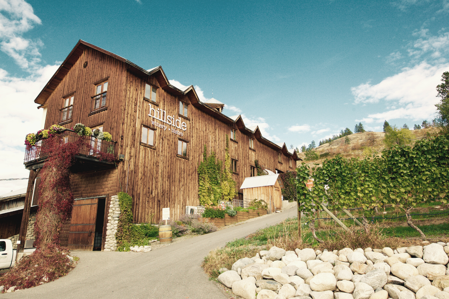 Hillside Winery 