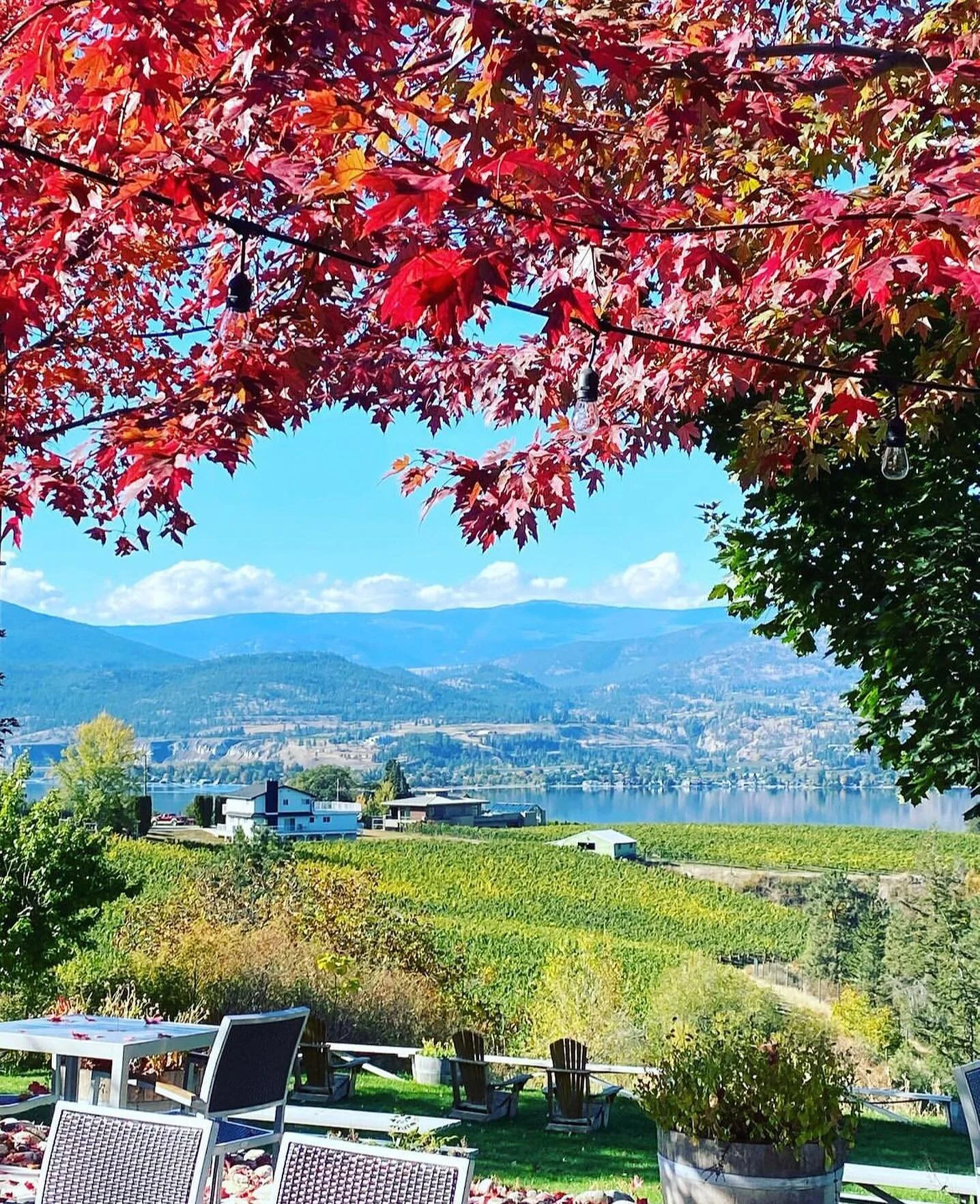 Roadside Farm Stands Discover Naramata
