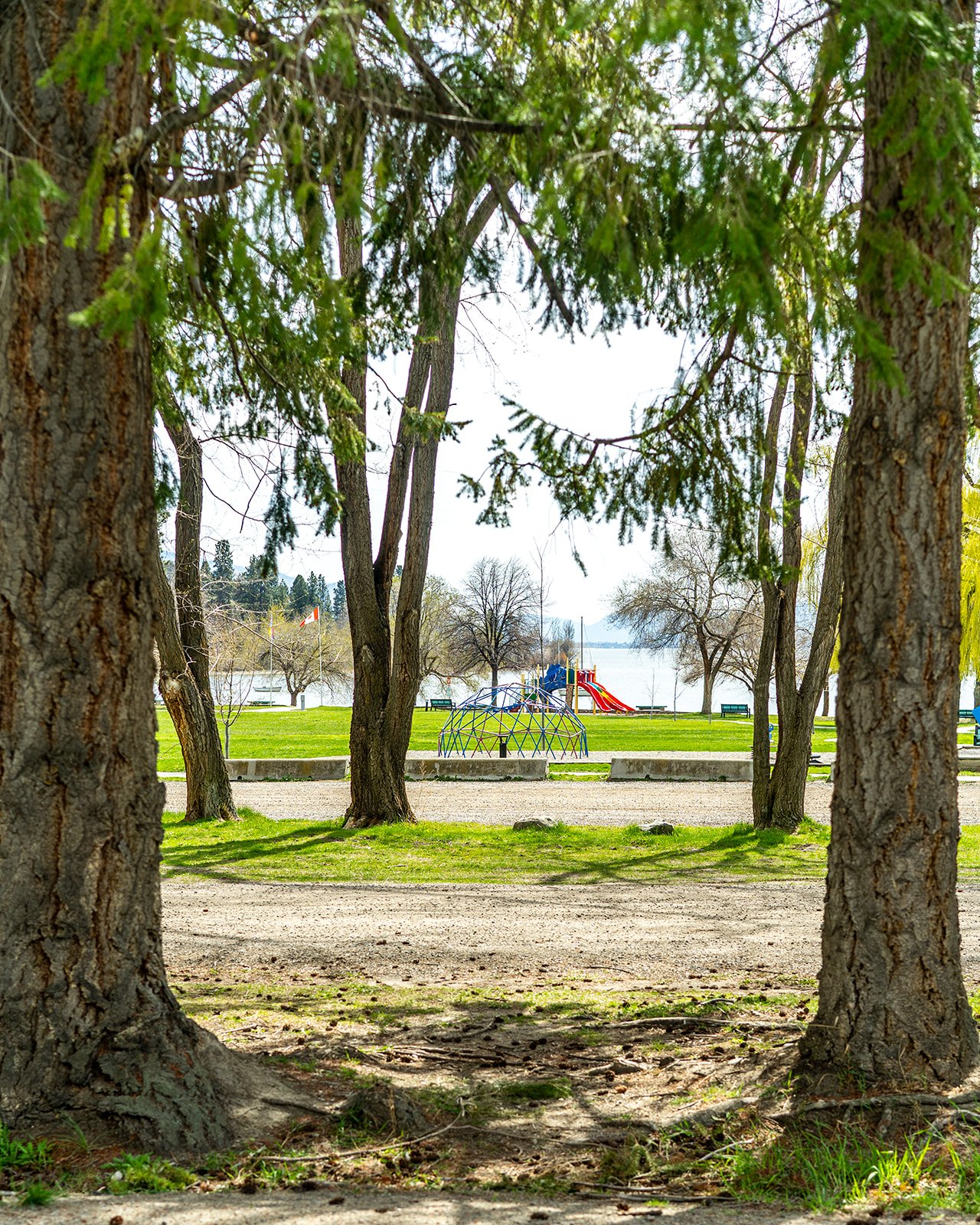 20250414 Discover Naramata-41_websize.jpg