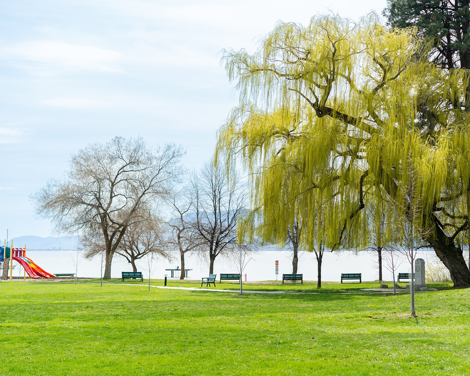 20250414 Discover Naramata-42_websize.jpg