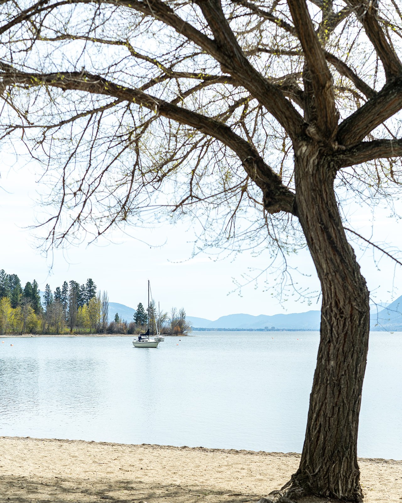 20250414 Discover Naramata-45_websize.jpg