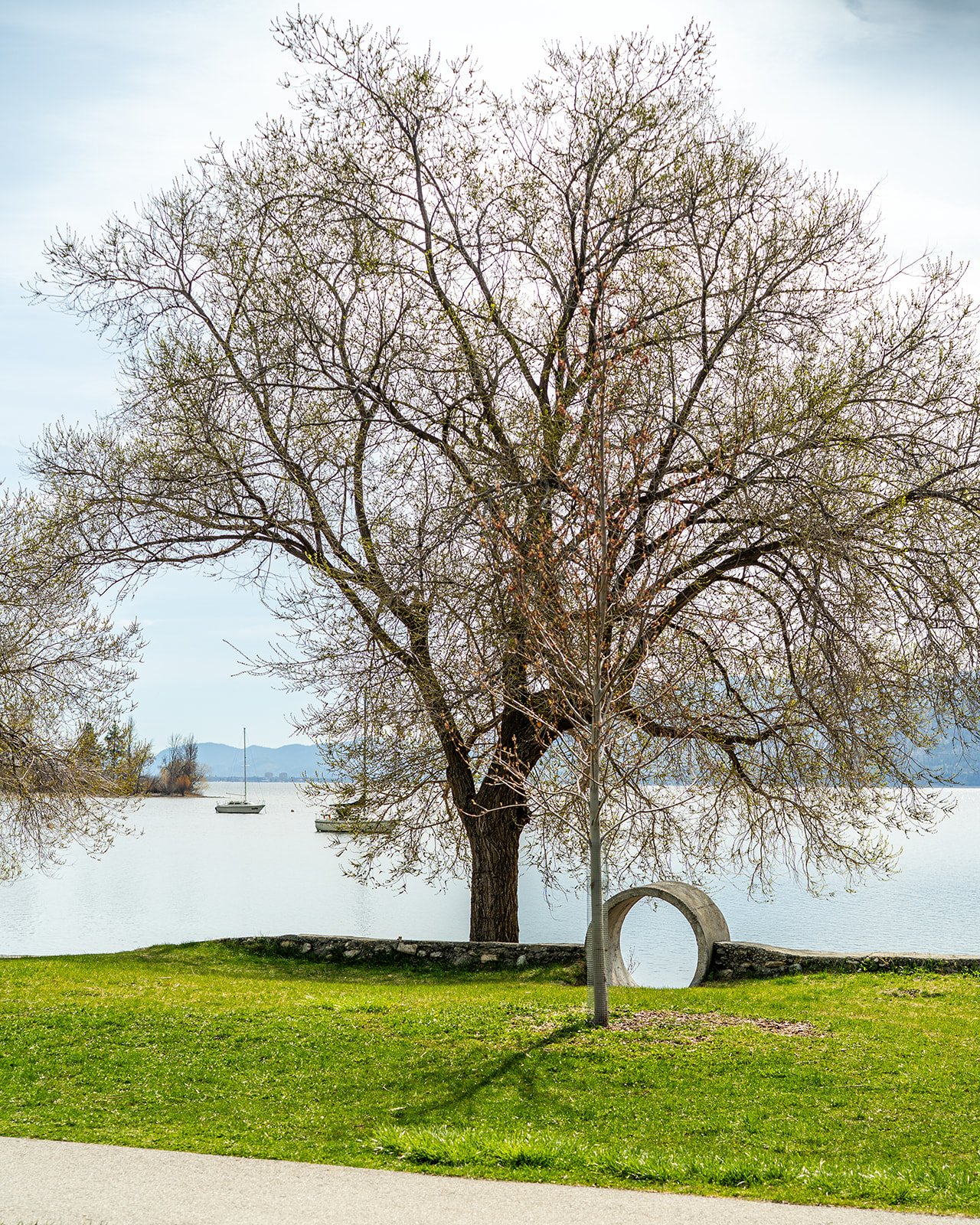 20250414 Discover Naramata-51_websize.jpg