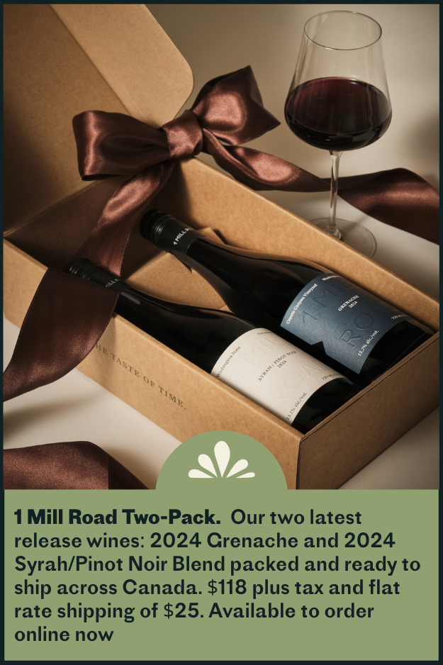 2025 Gift Guide-3.png