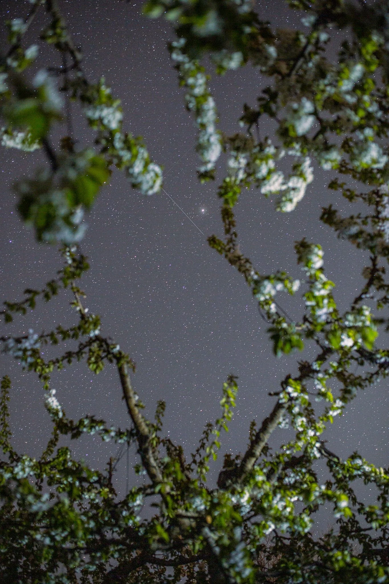 05 - WEB-EI22-Markburnhamphotography-5.jpg