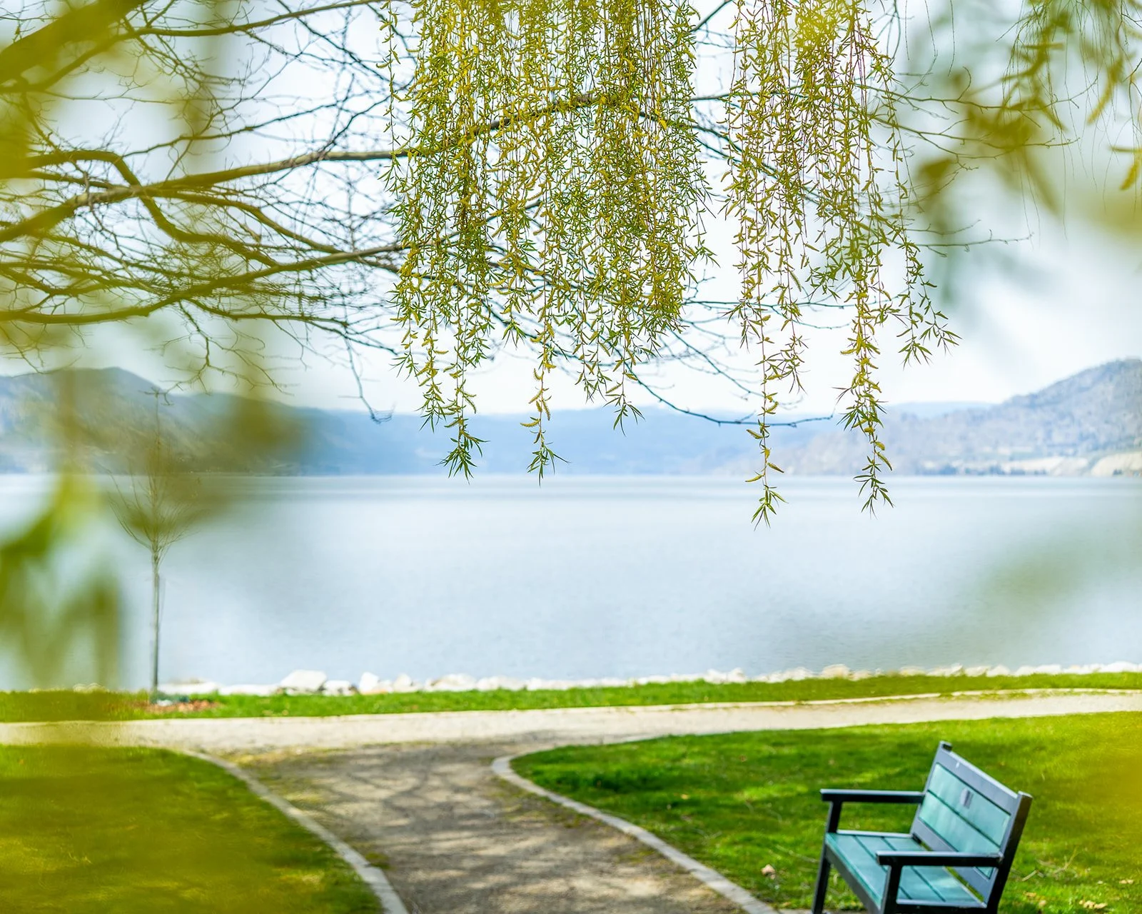 THE SEASON BETWEEN SEASONS