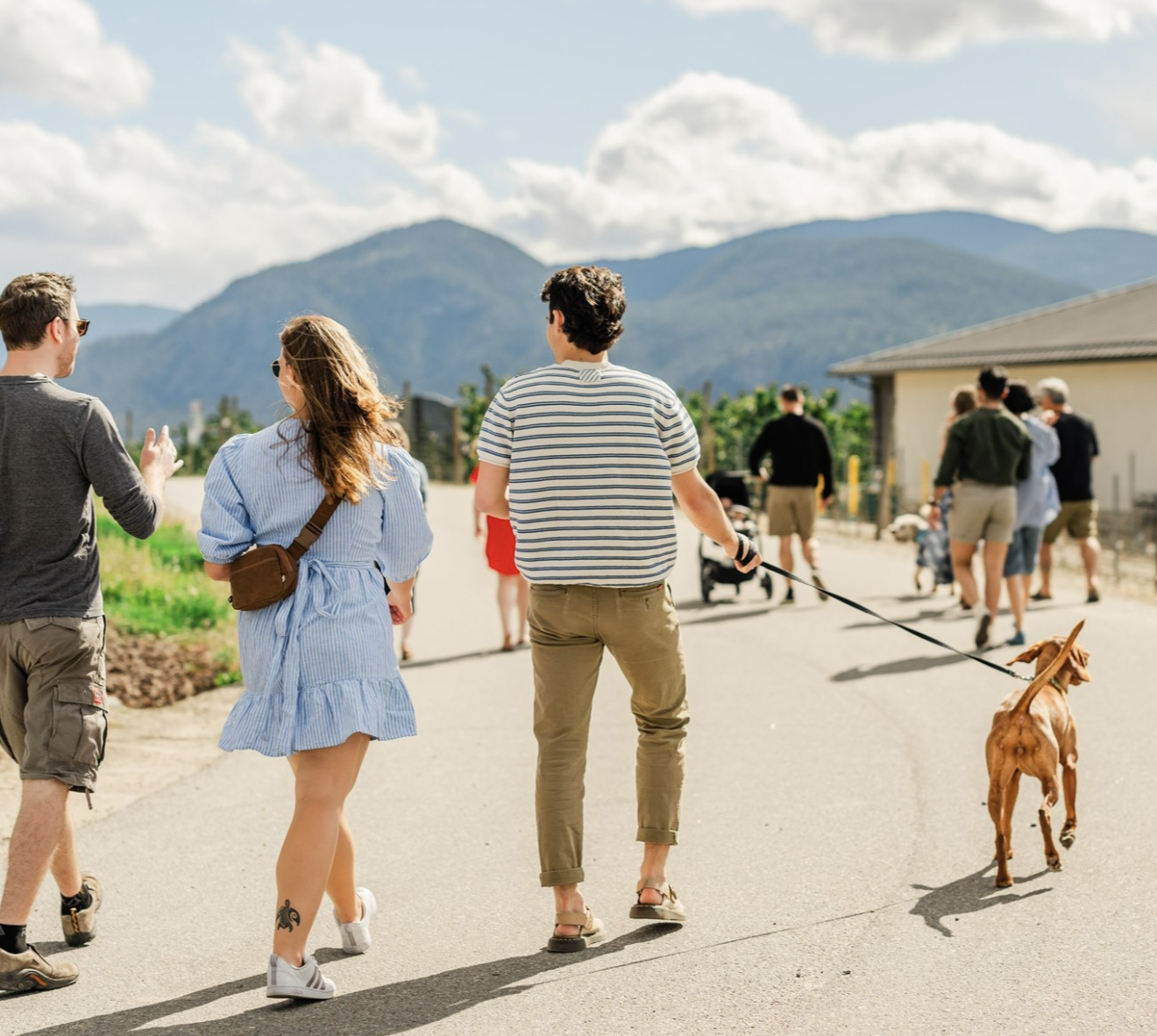 Screenshot 2026-03-27 at 4.12.57 PM.png