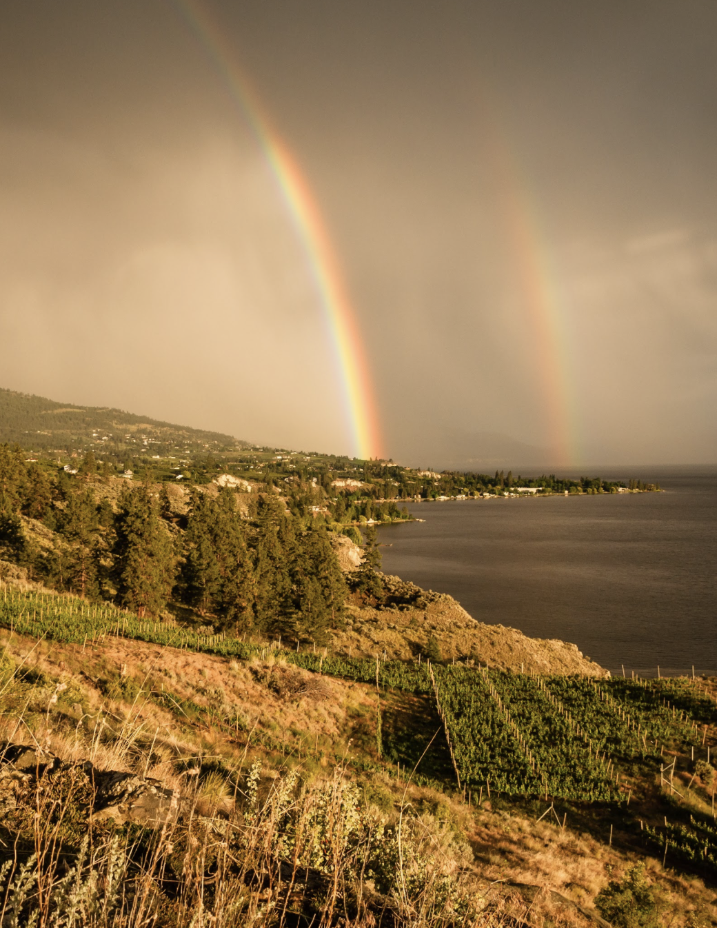 Image 2026-03-20 at 12.40 PM.PNG