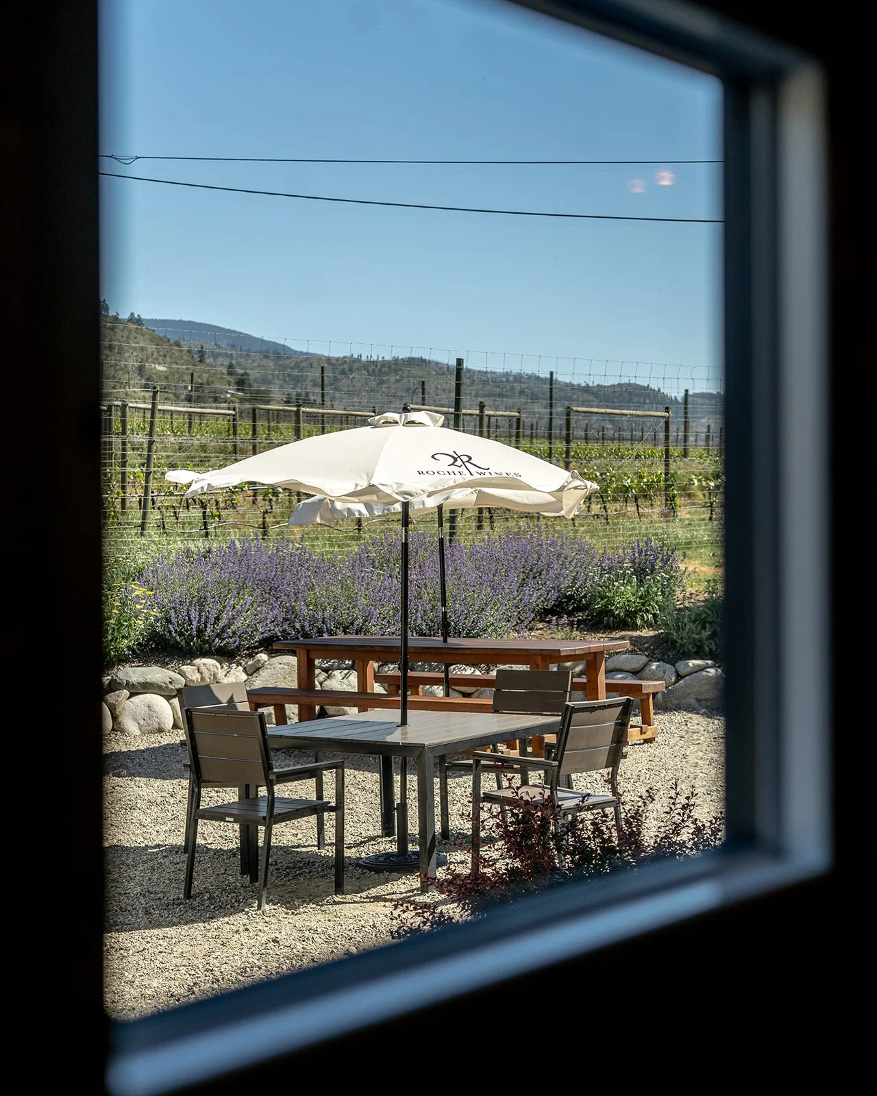 20250528 Discover Naramata-68_websize.jpg