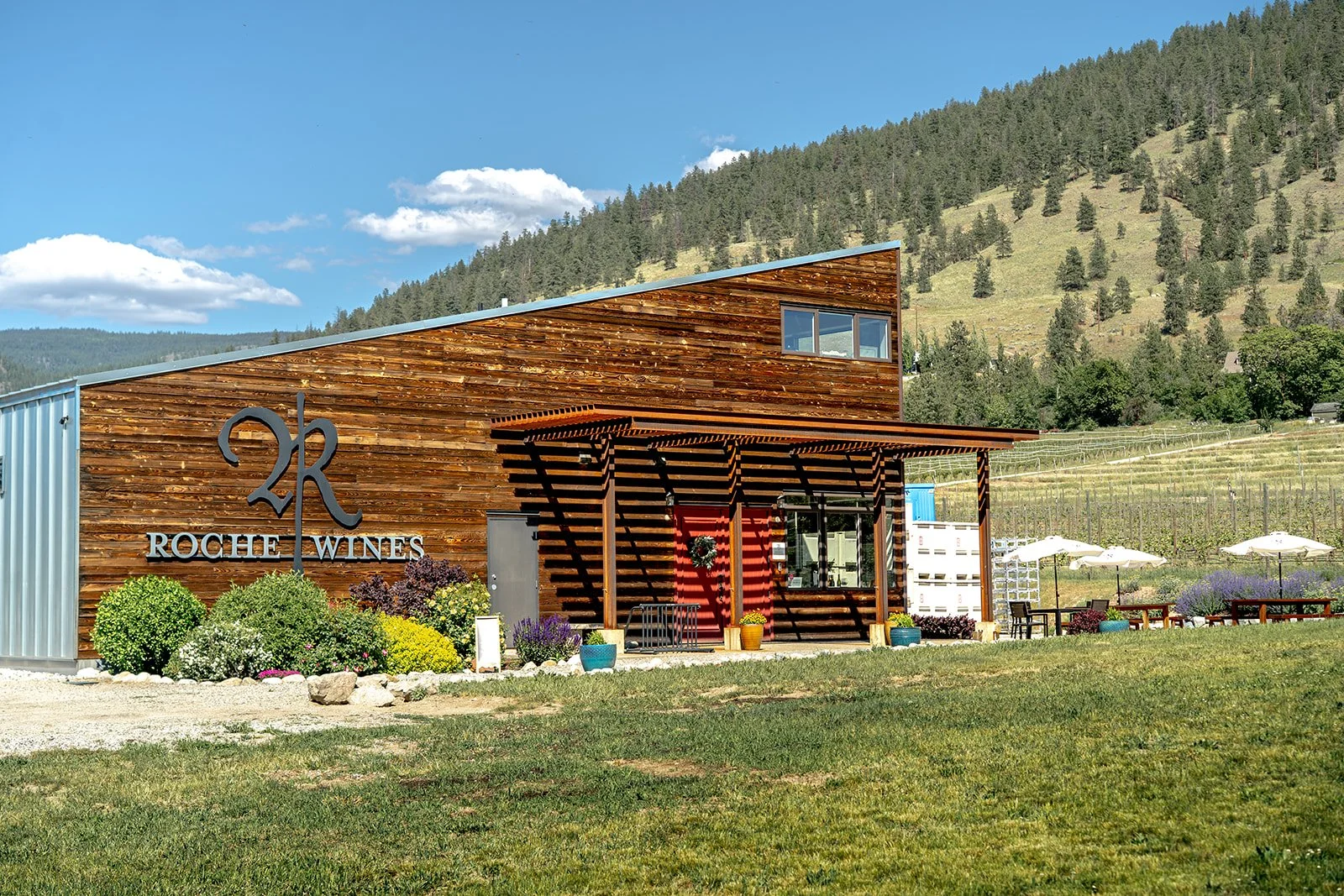 From Bordeaux to The Bench - The Story of Roche Wines