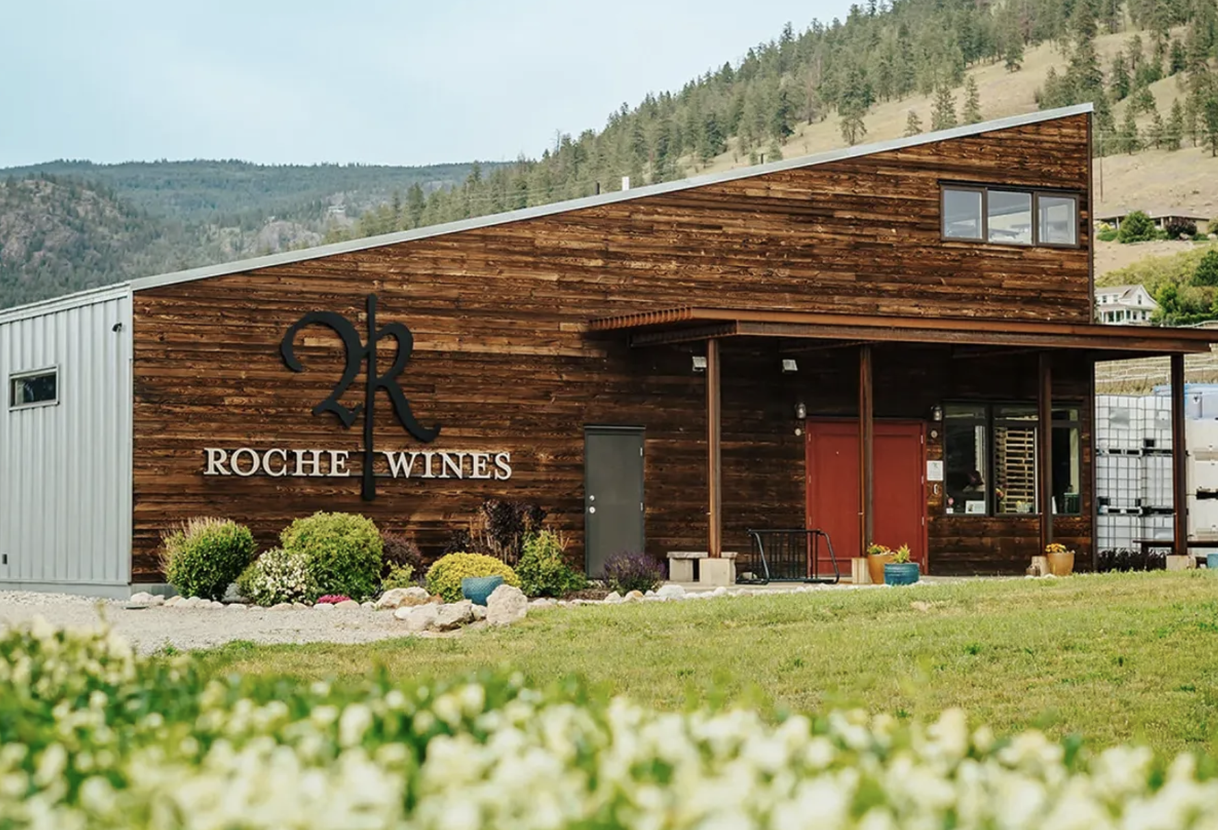 From Bordeaux to The Bench - The Story of Roche Wines