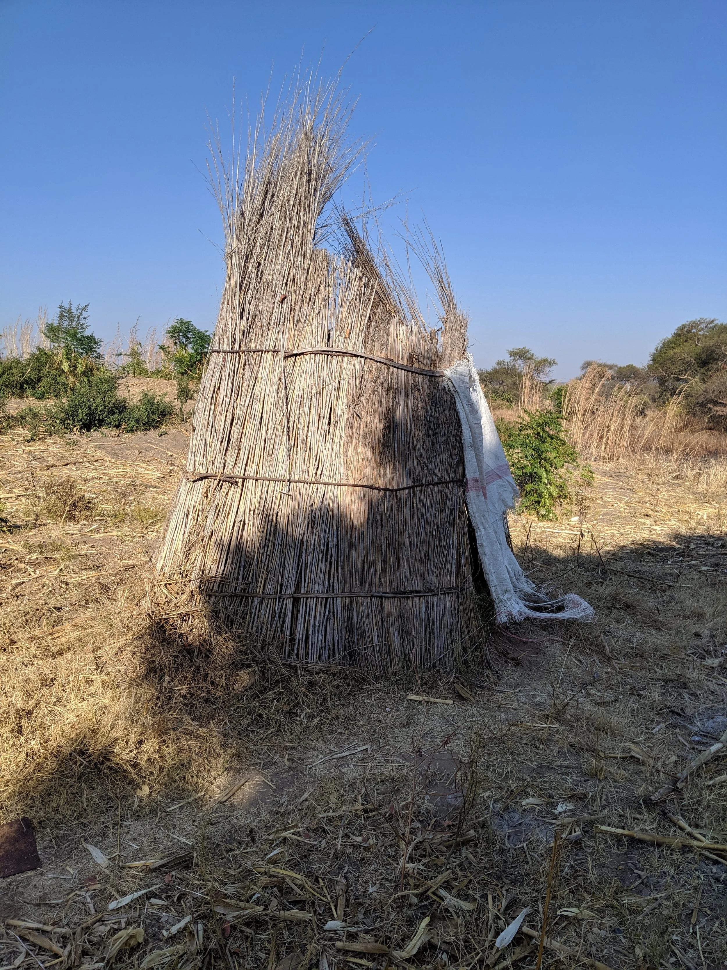NW corner - Wana's family's latrine that I've been using