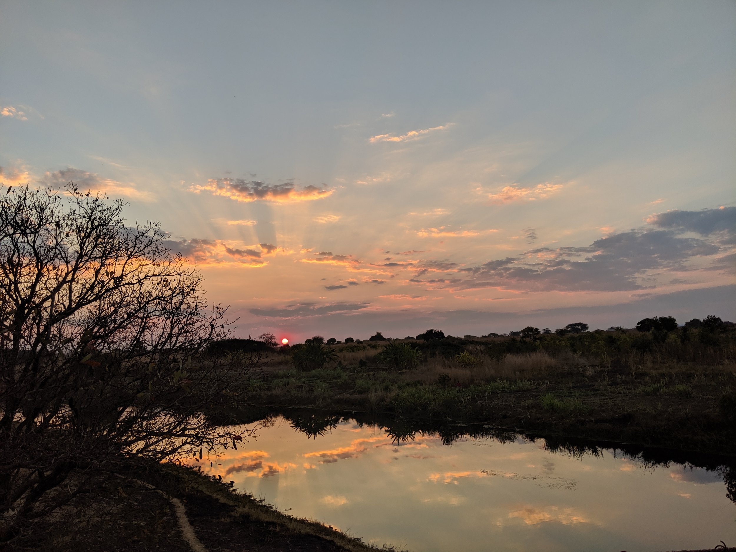 Sunset from the bridge today