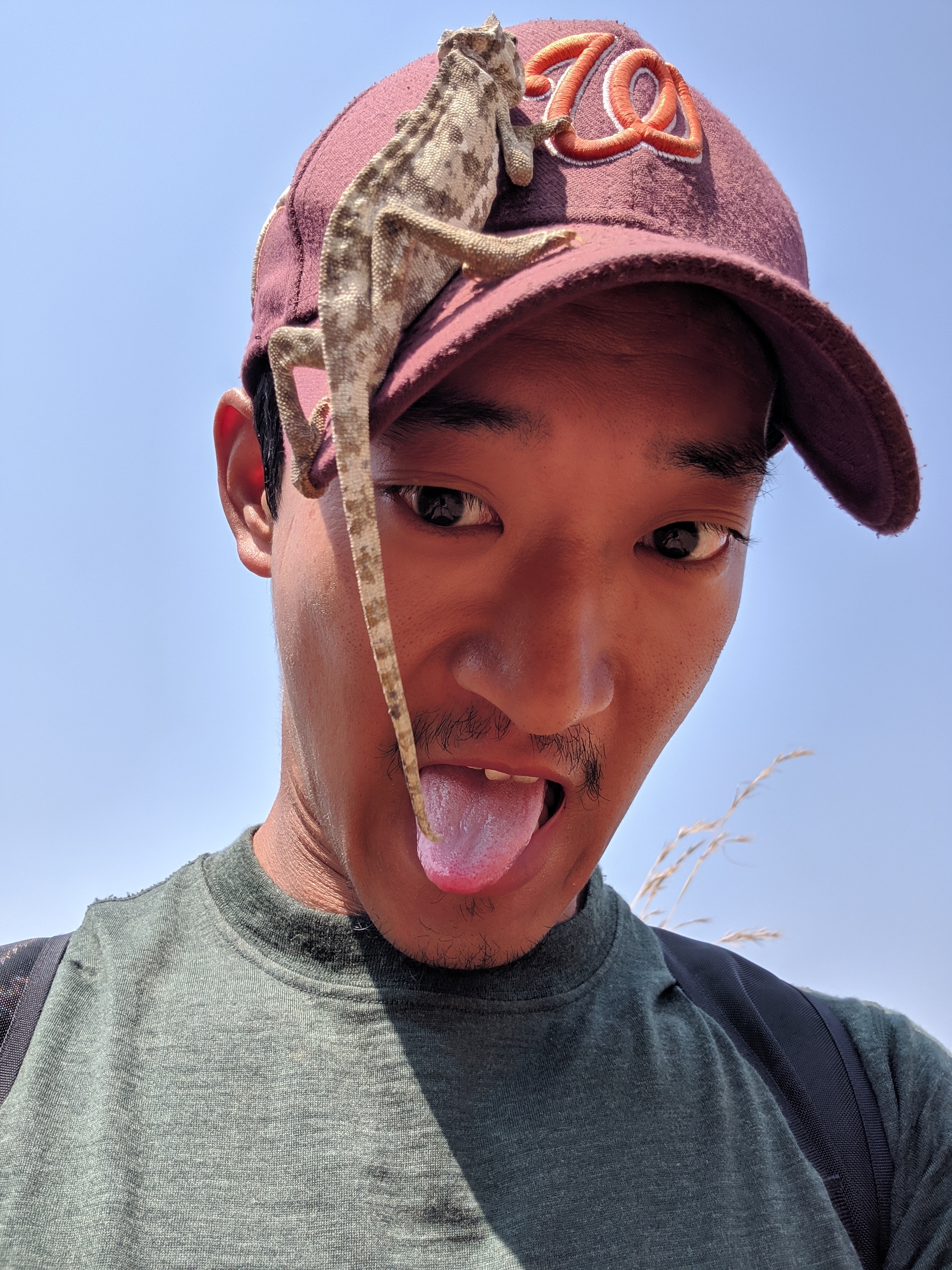 No shave Shamiyoyo - 30 days and counting