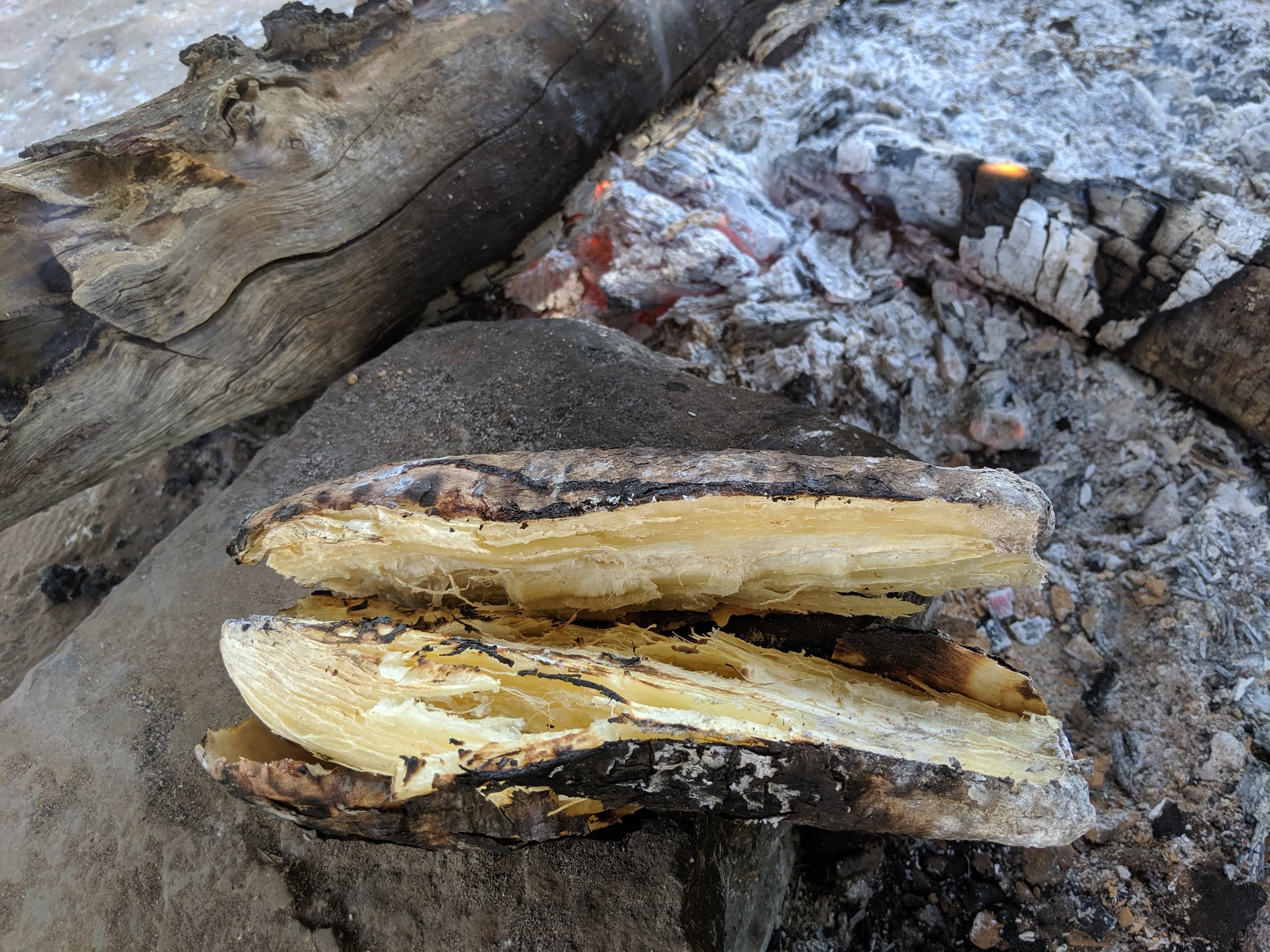 Inside of roasted cassava