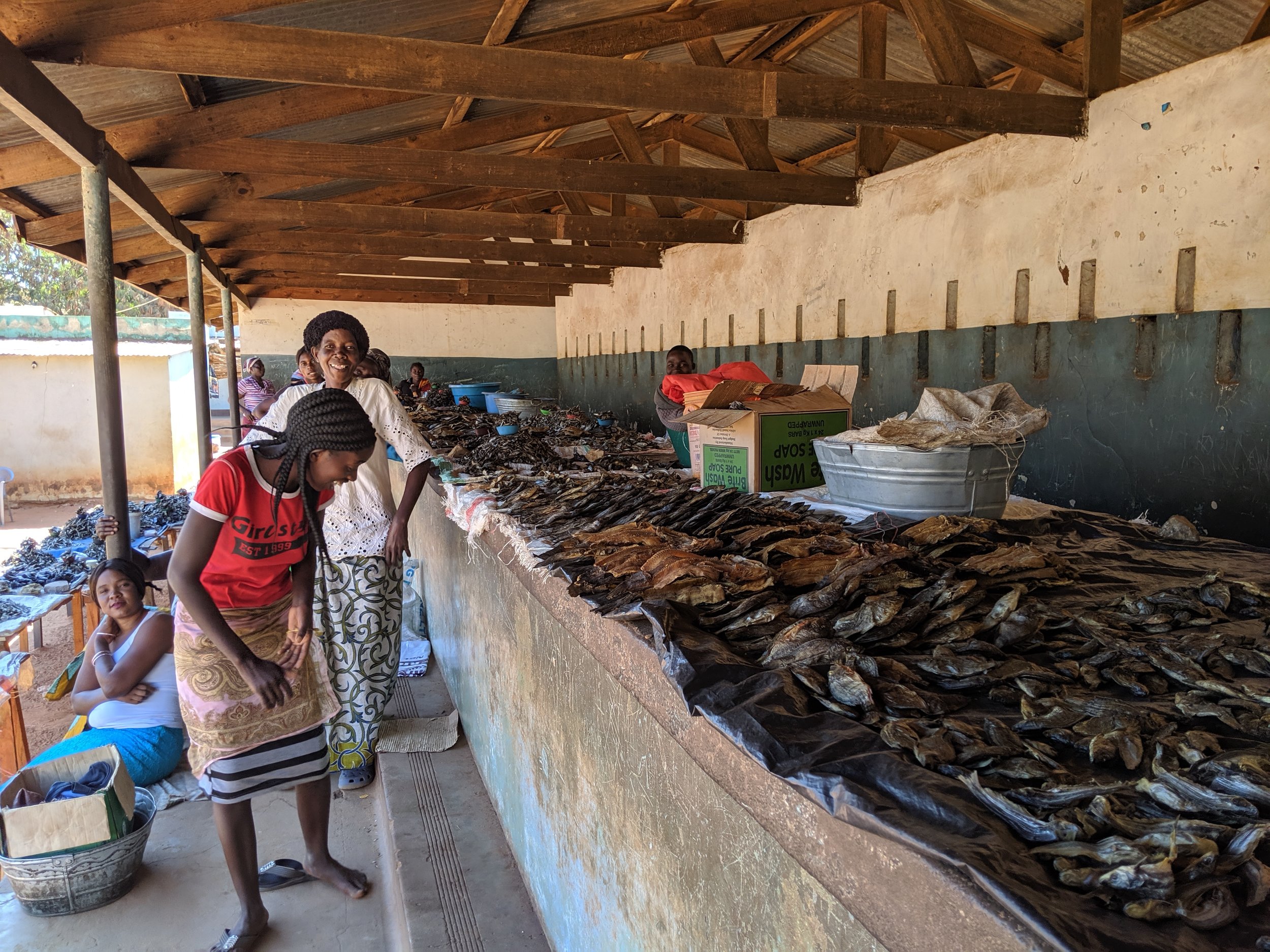 Dried fish at the market - used as a relish with nshima