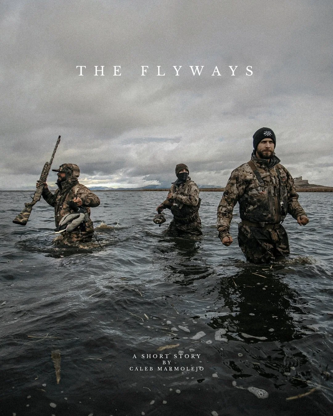 THE FLYWAYS