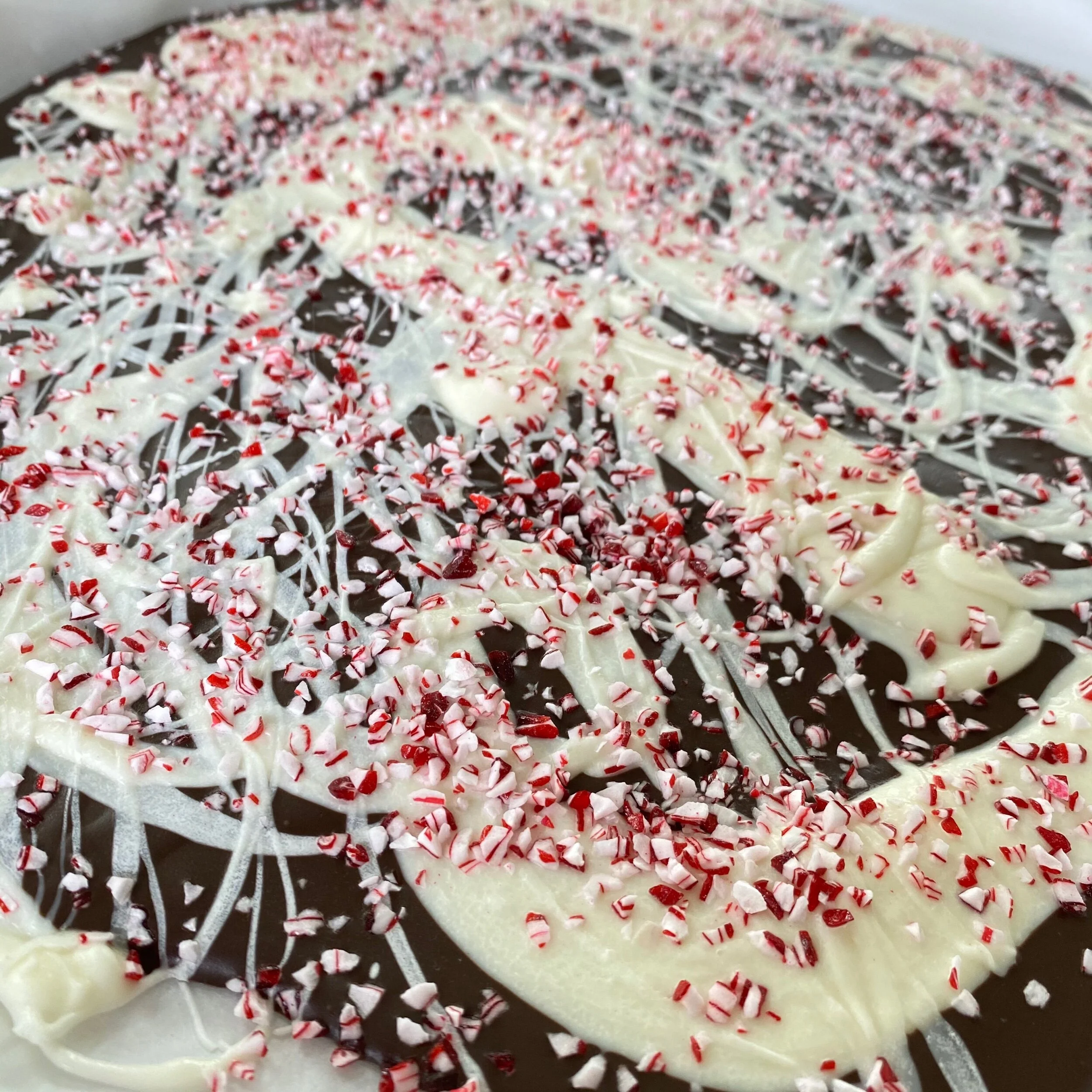 E04F6D88-4479-462C-A487-4527594B962E